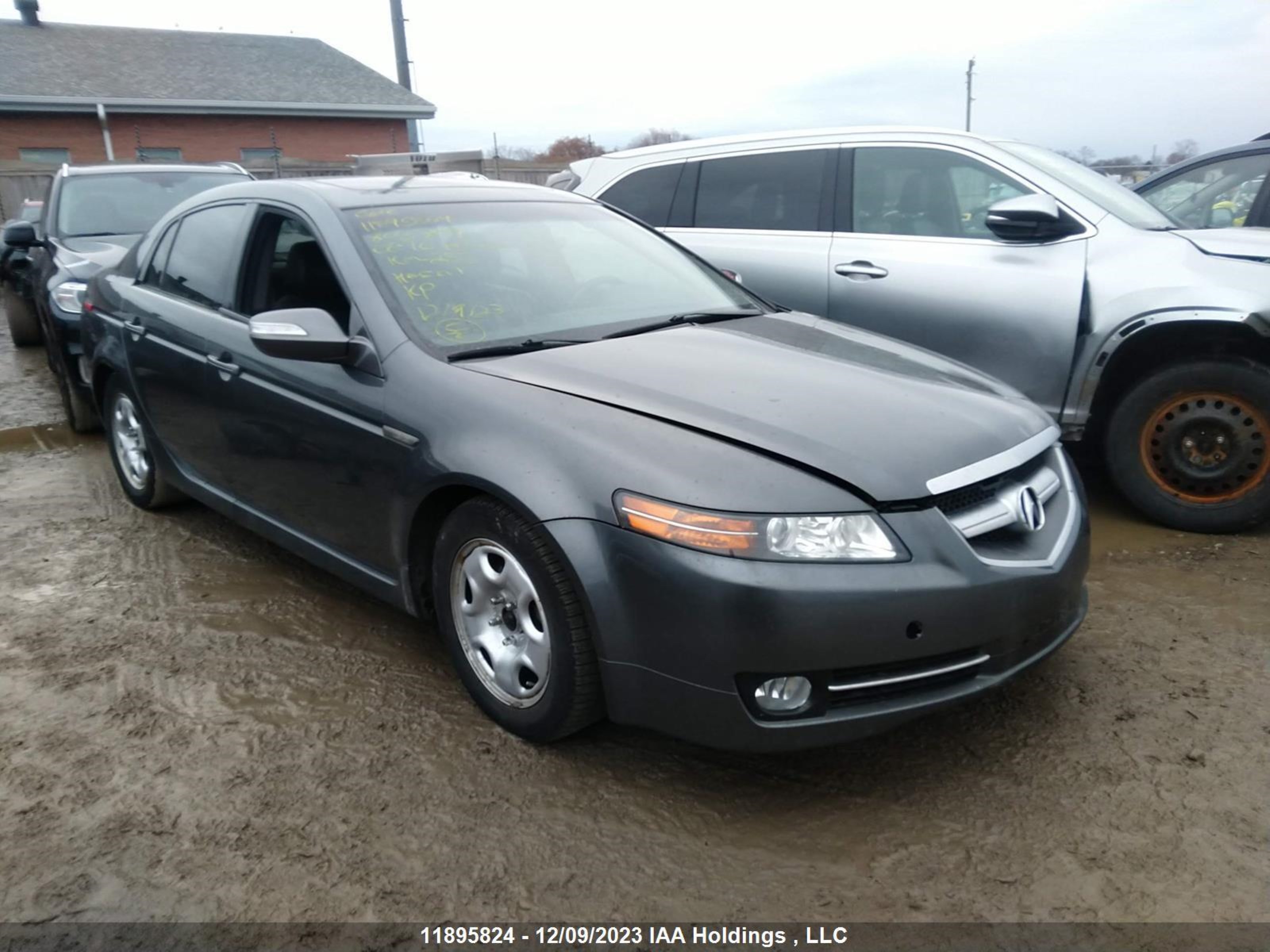 ACURA TL 2008 19uua66238a803709