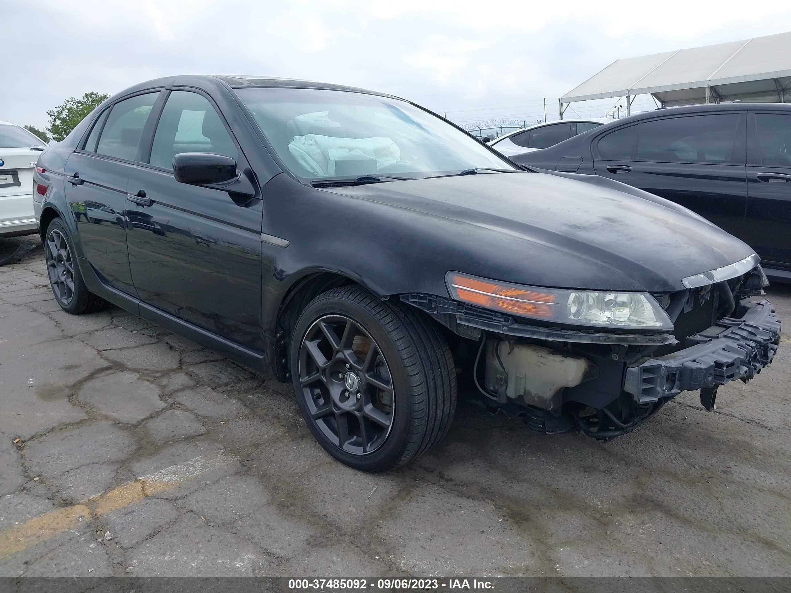 ACURA TL 2004 19uua66244a004029