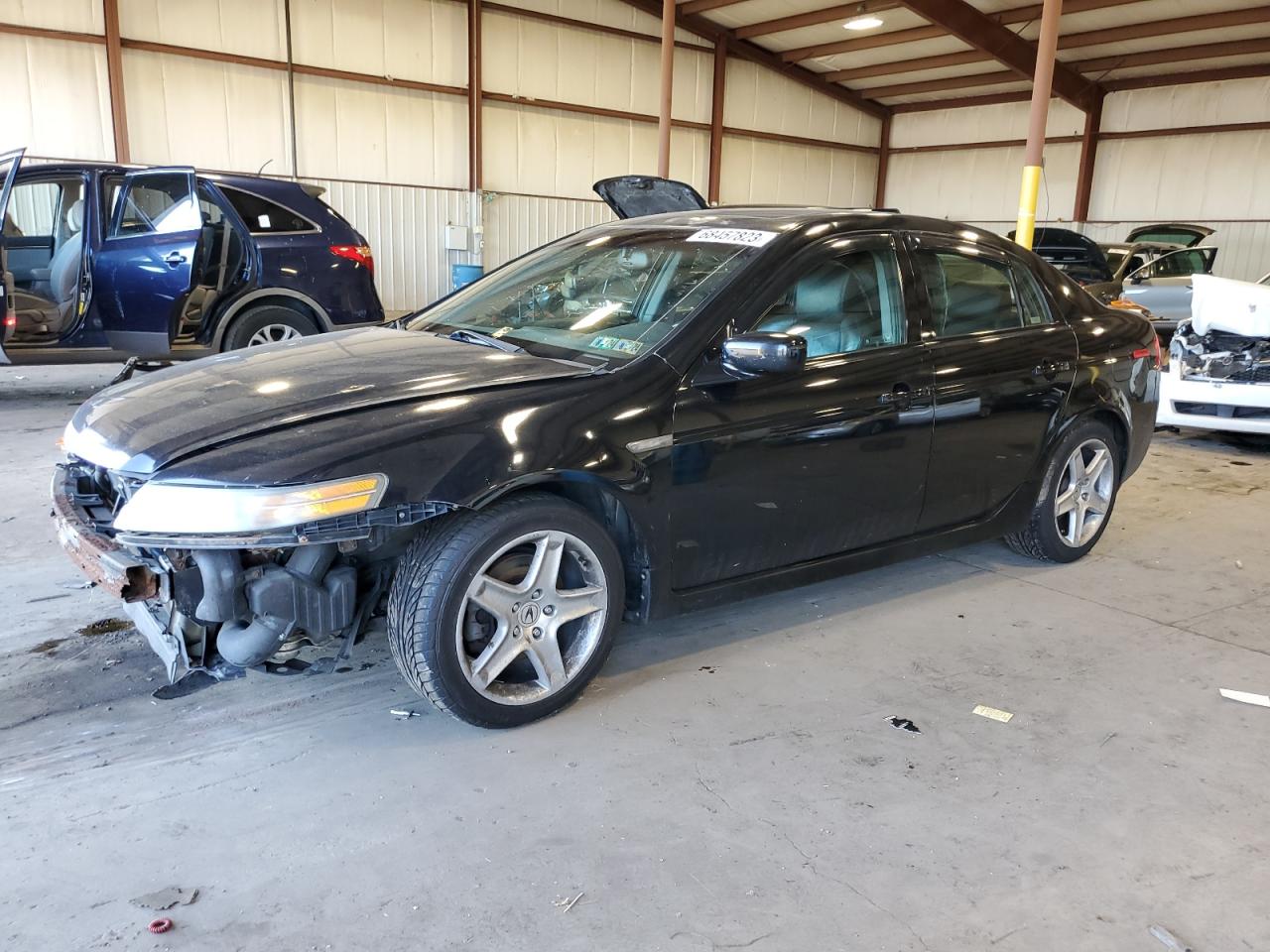 ACURA TL 2004 19uua66244a008064