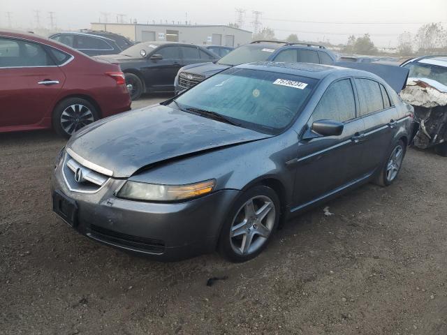 ACURA TL 2004 19uua66244a036656