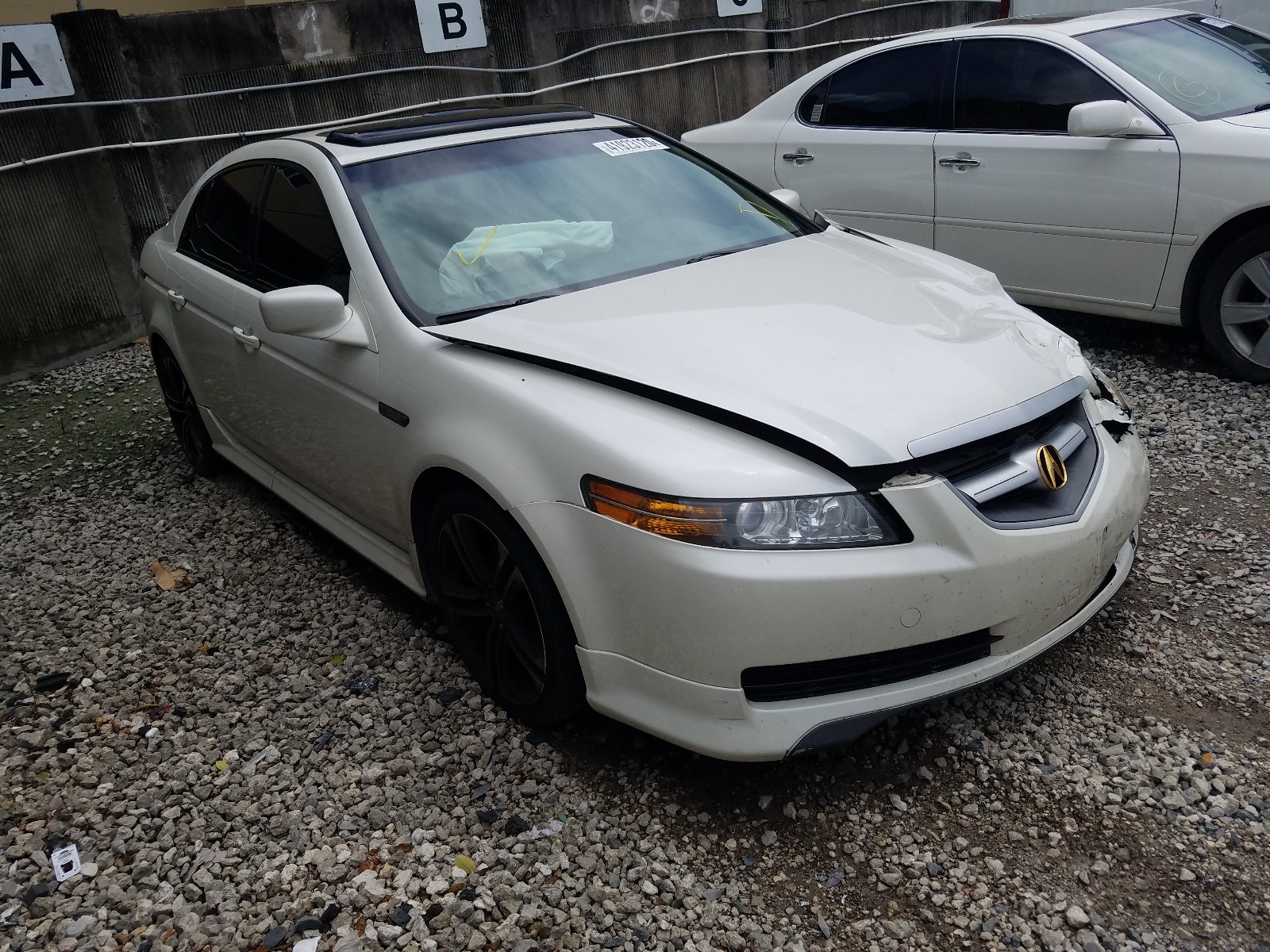 ACURA TL 2004 19uua66244a048094