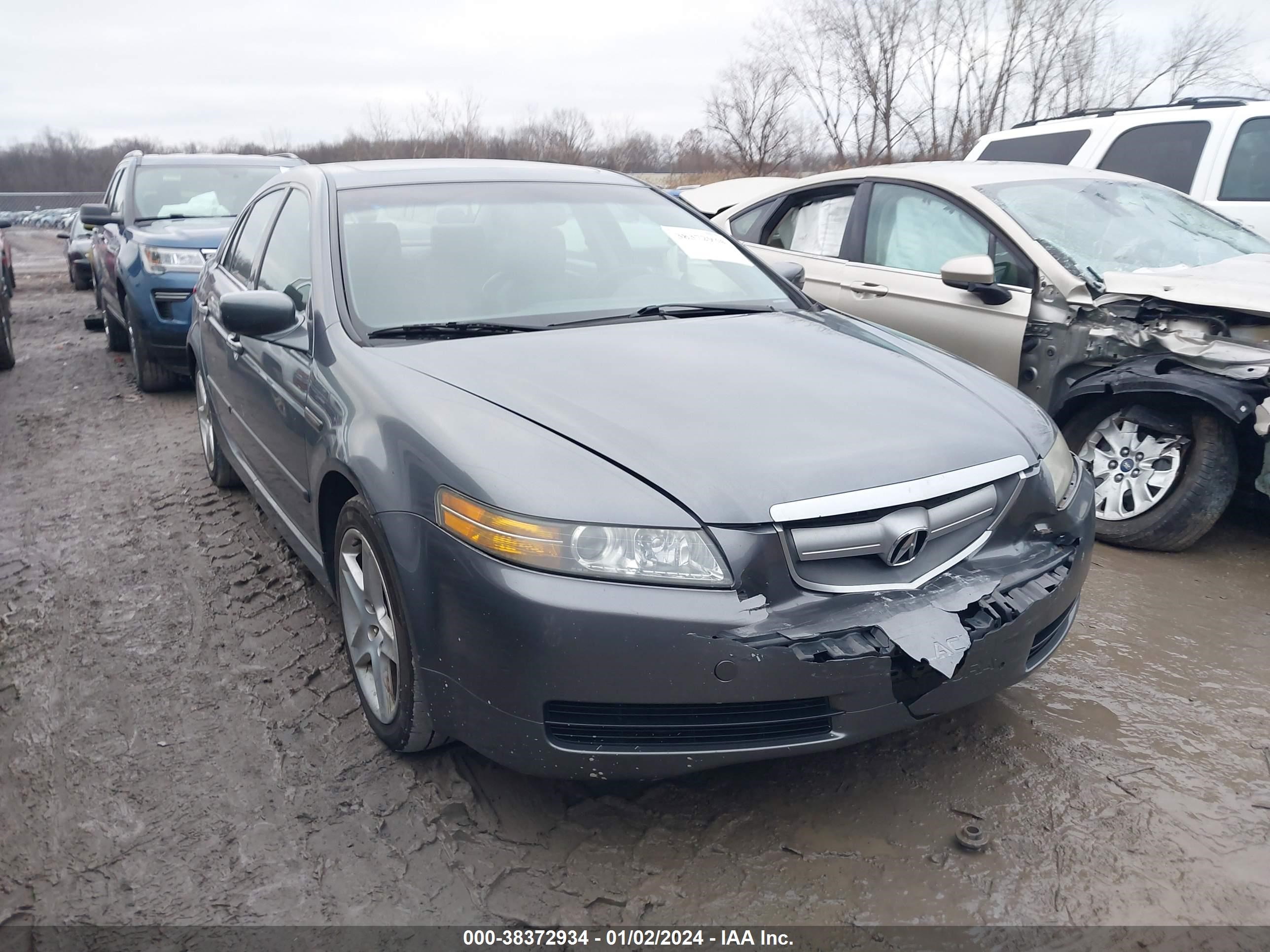 ACURA TL 2004 19uua66244a058141