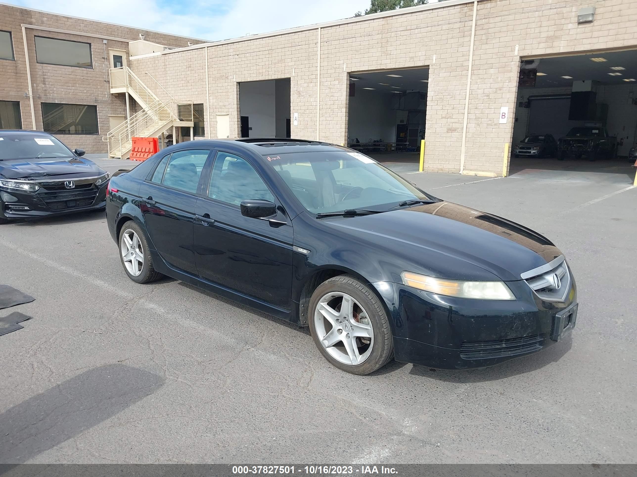 ACURA TL 2004 19uua66244a069219