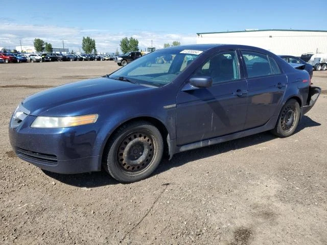 ACURA TL 2004 19uua66244a804605