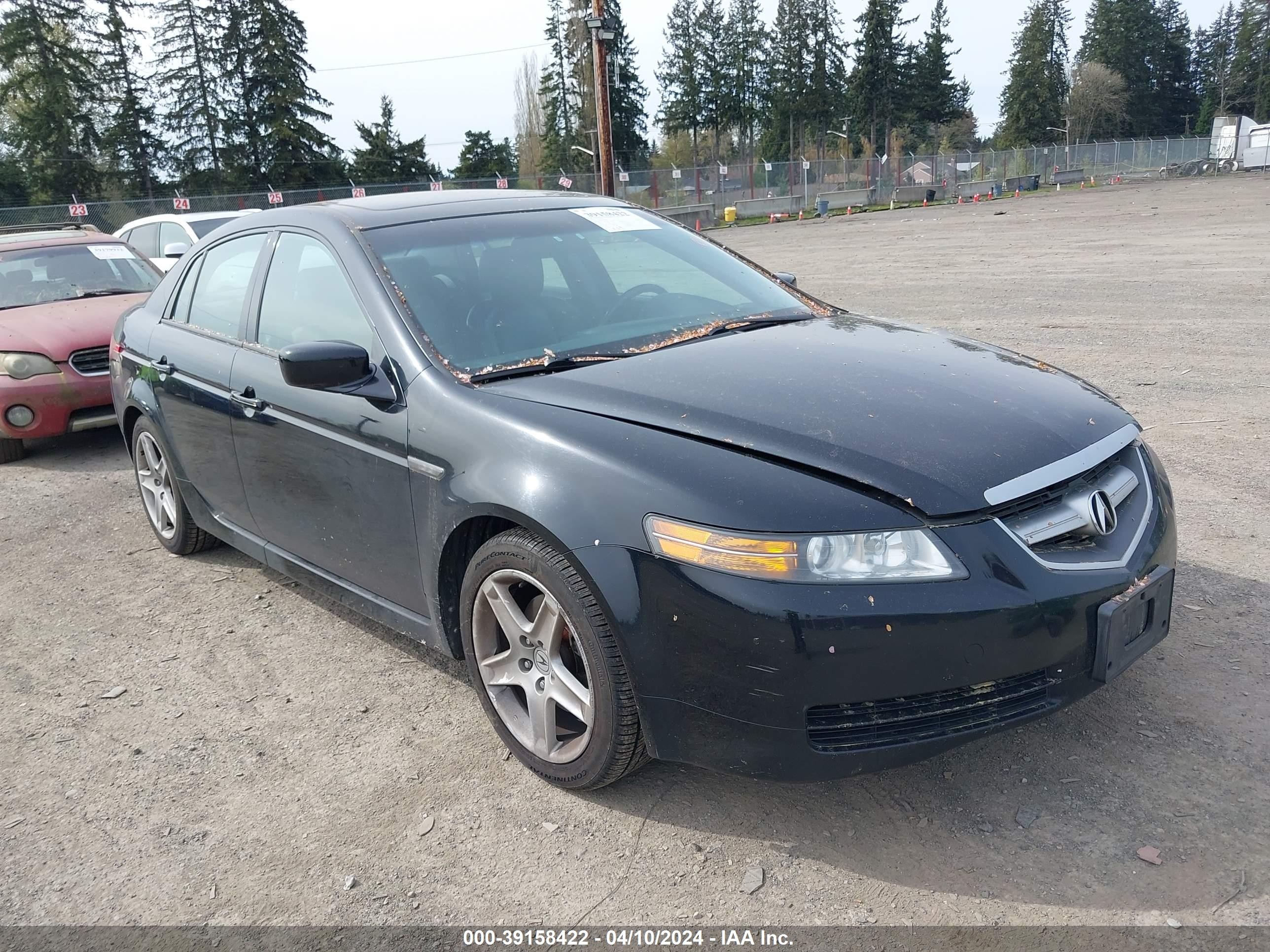 ACURA TL 2005 19uua66245a023973