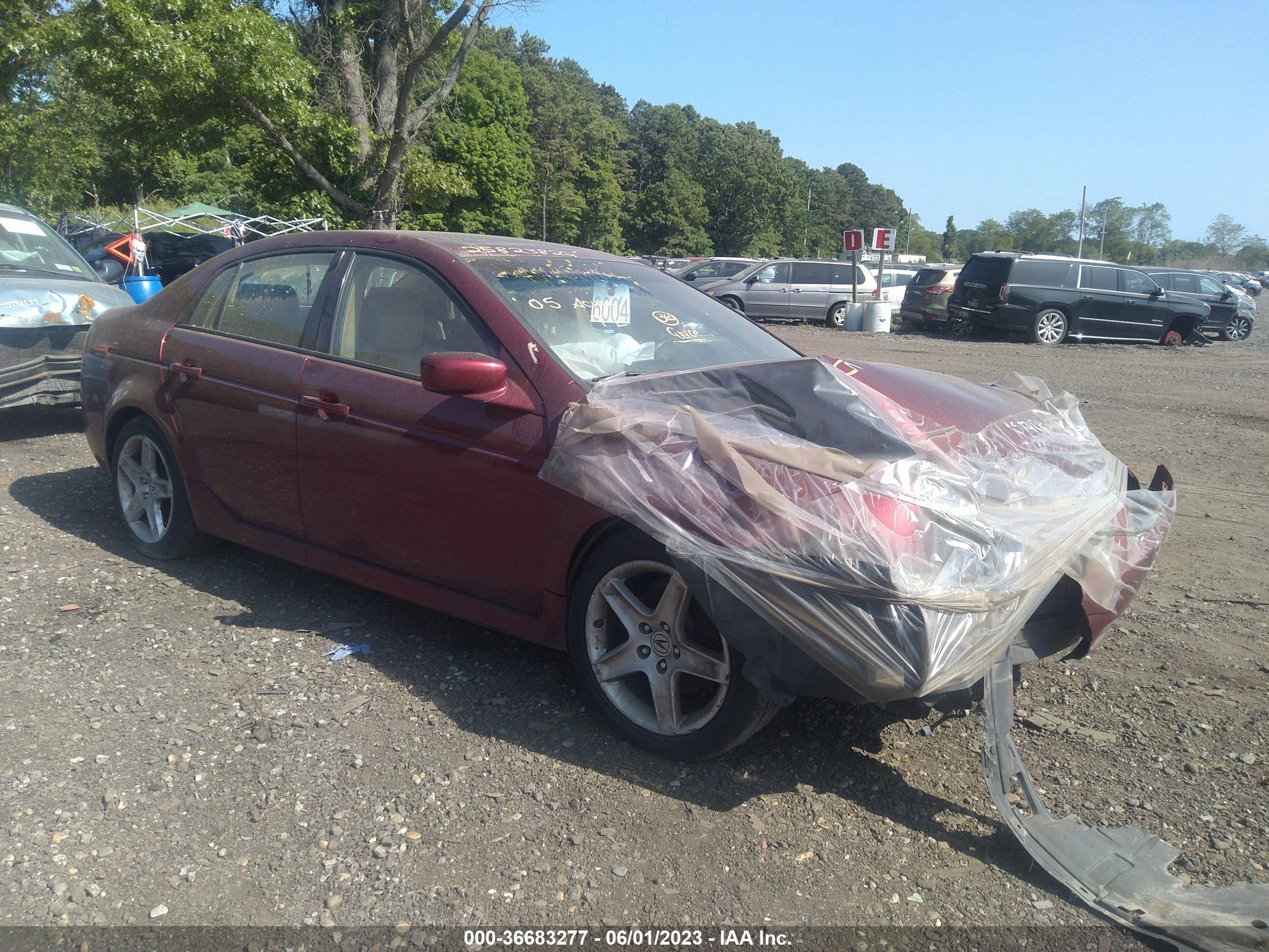 ACURA TL 2005 19uua66245a026131