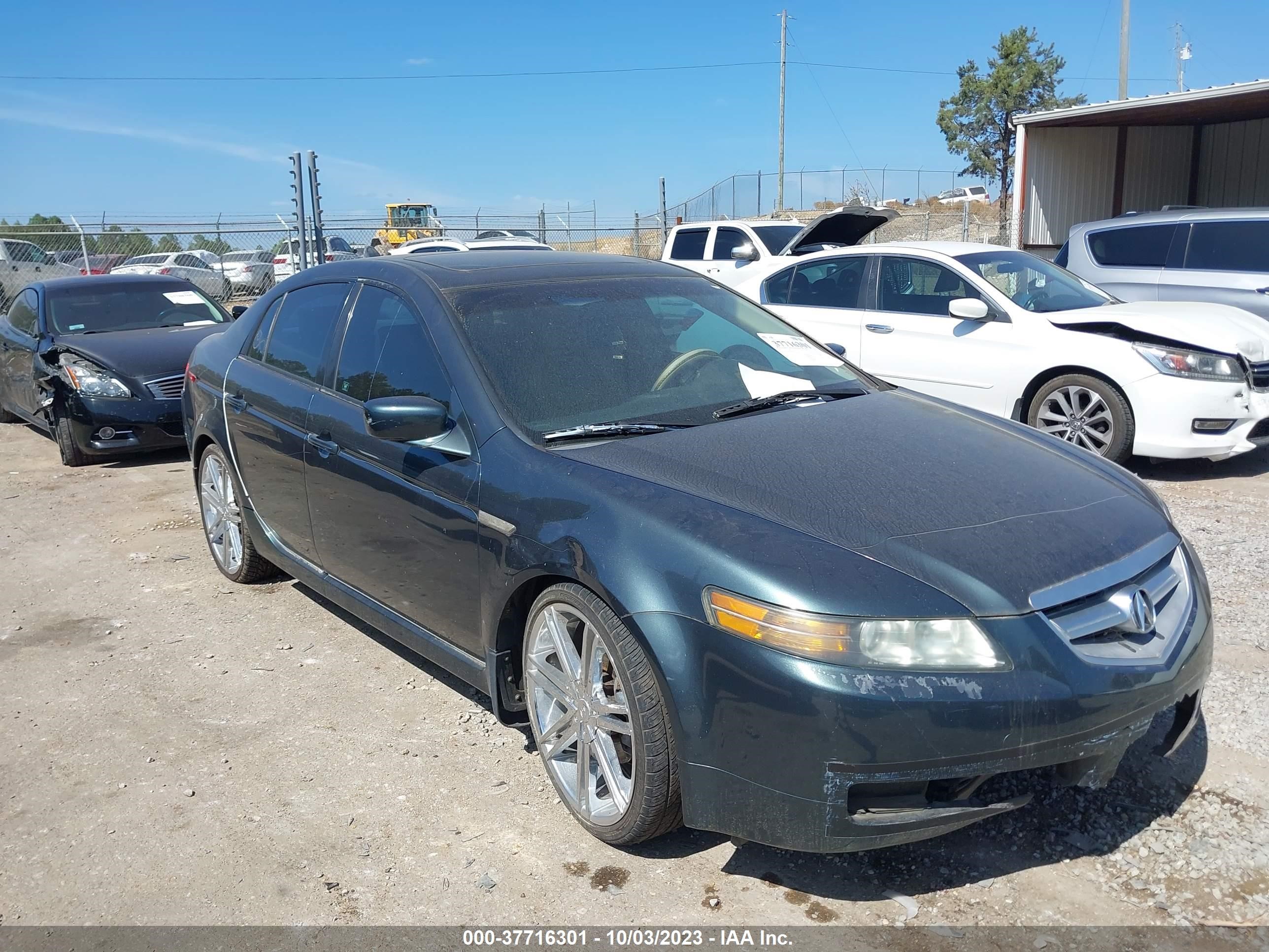 ACURA TL 2005 19uua66245a034441