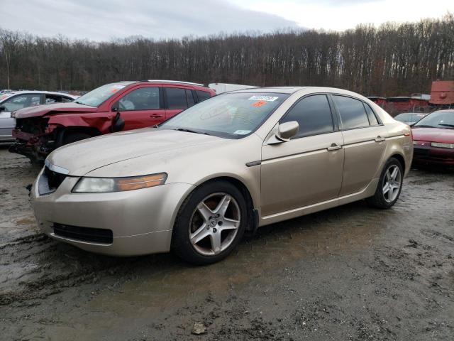 ACURA TL 2005 19uua66245a038005