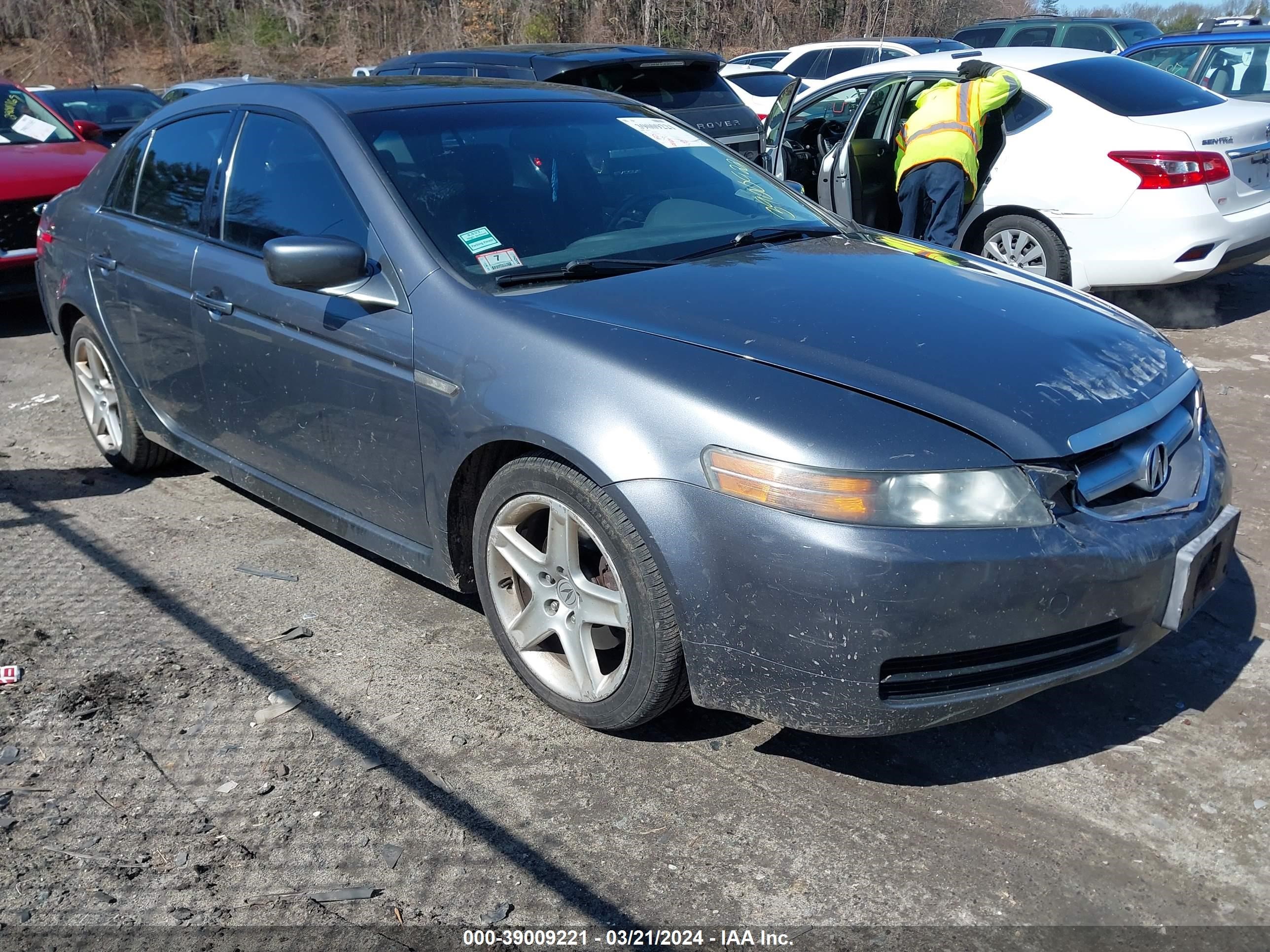 ACURA TL 2005 19uua66245a048419