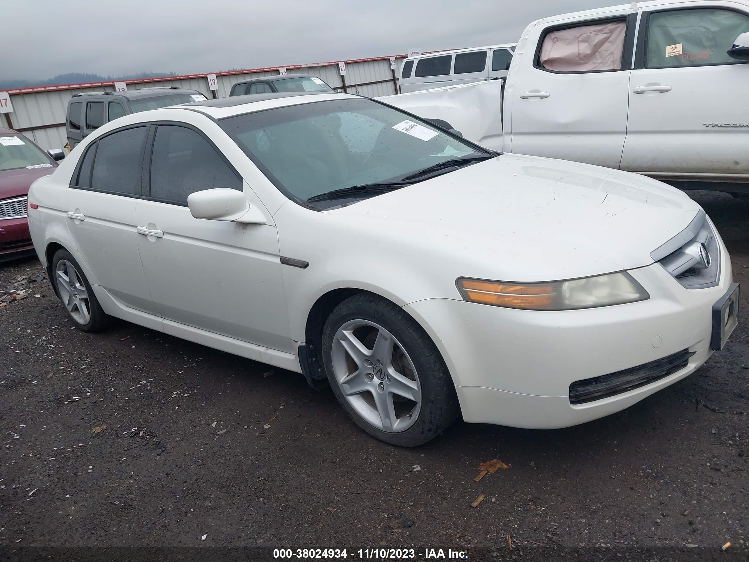 ACURA TL 2005 19uua66245a061784