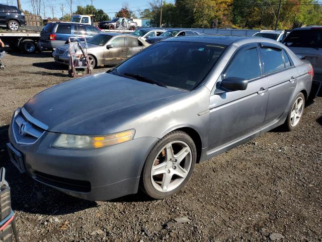 ACURA TL 2005 19uua66245a069108