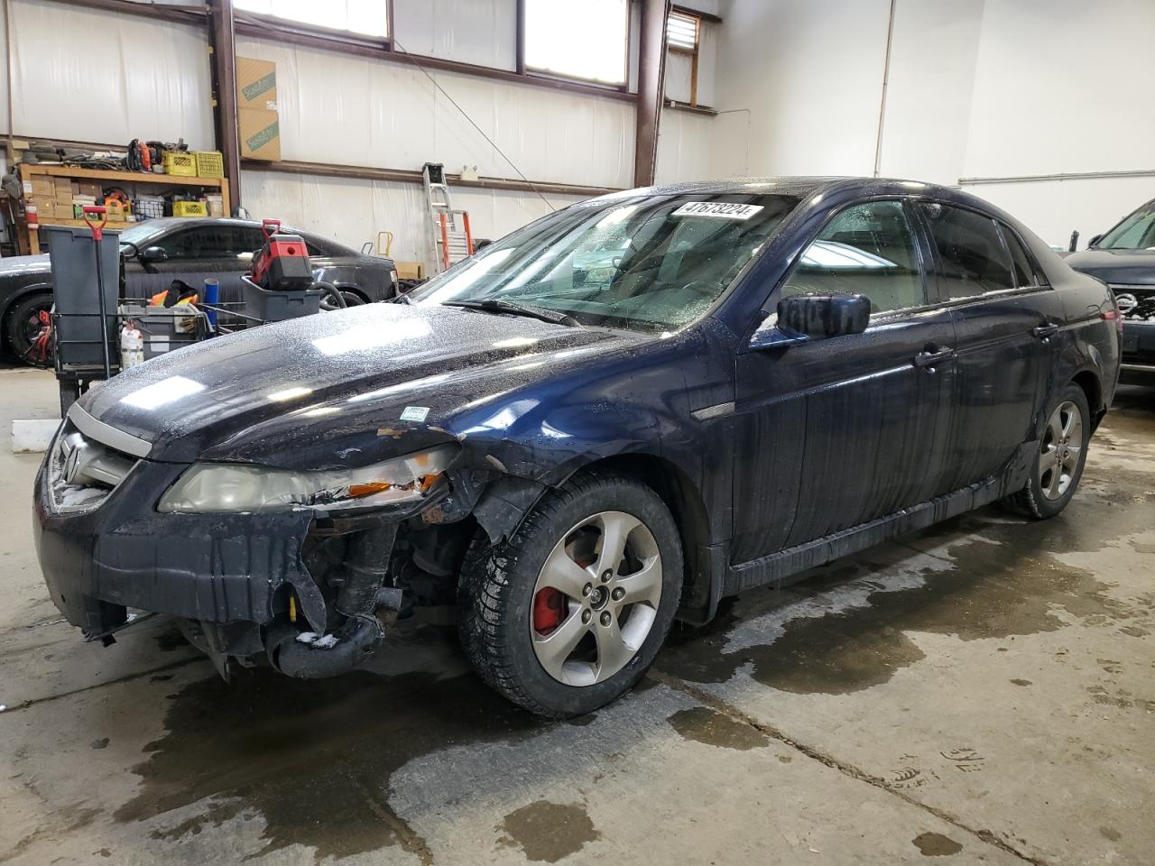 ACURA TL 2005 19uua66245a801561