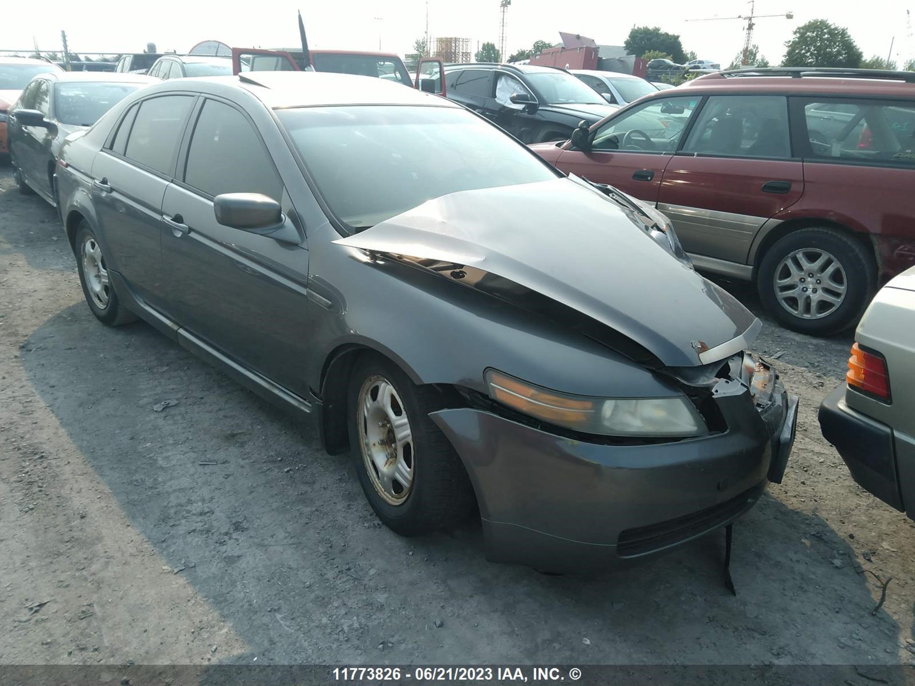 ACURA TL 2005 19uua66245a801706