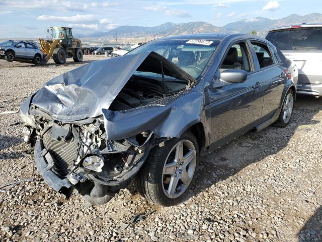 ACURA TL 2006 19uua66246a008035