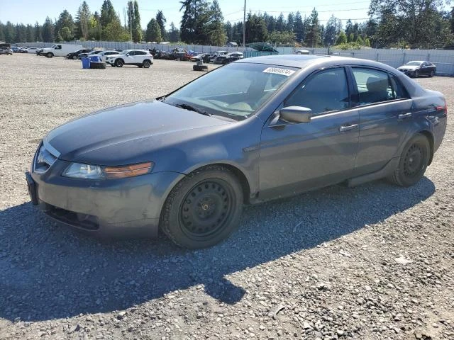 ACURA 3.2TL 2006 19uua66246a020704