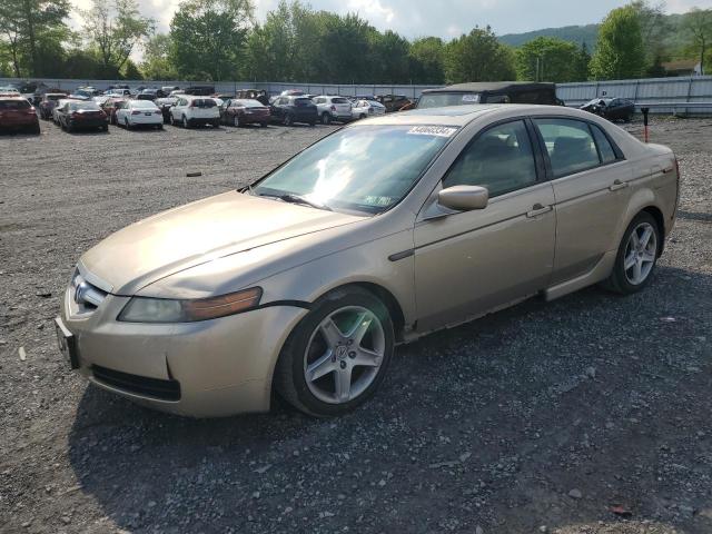 ACURA TL 2006 19uua66246a036207