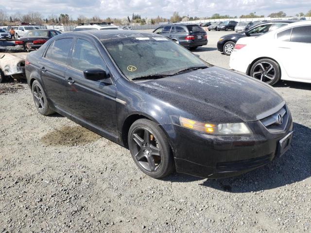 ACURA 3.2TL 2006 19uua66246a047854