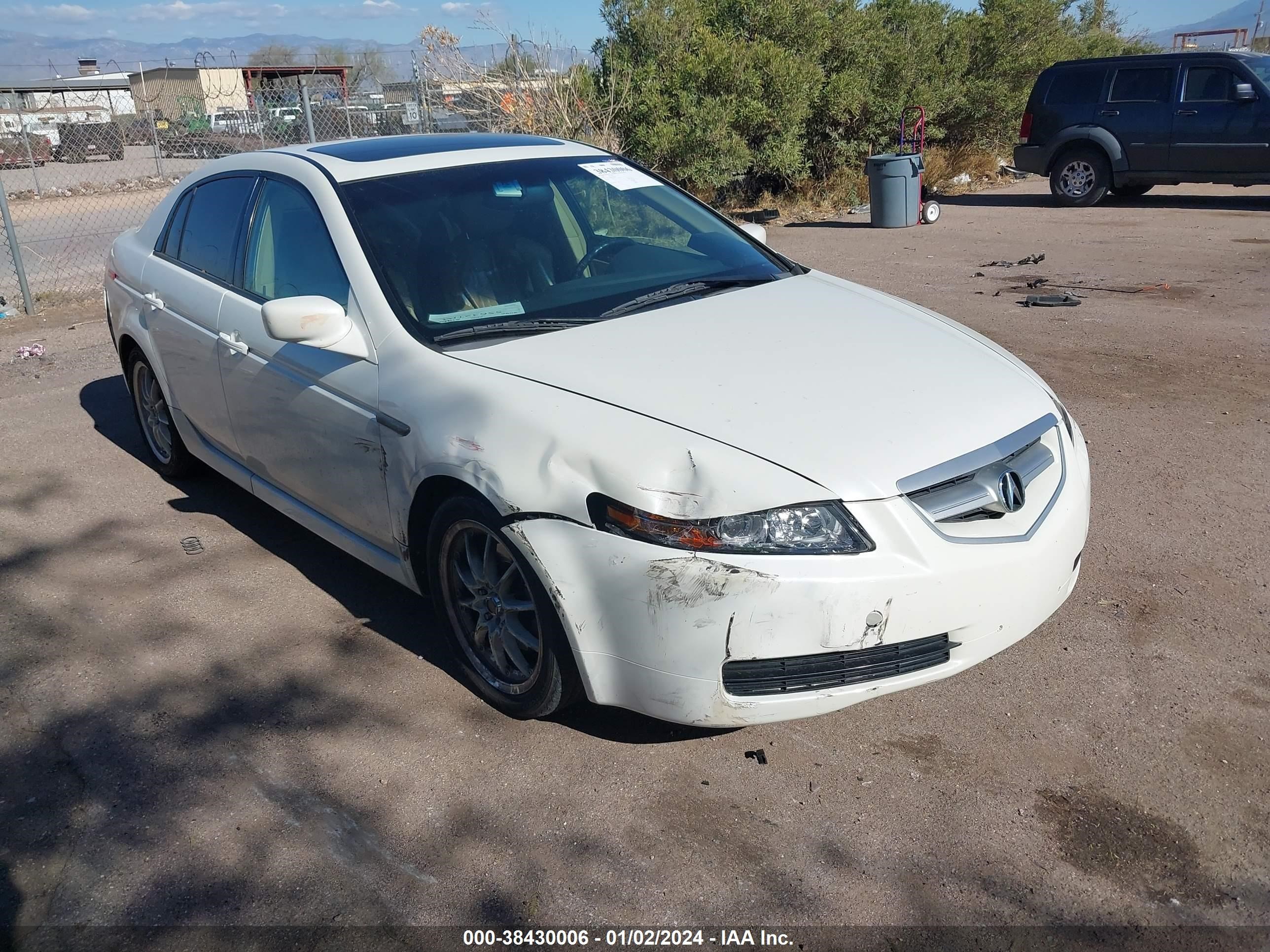 ACURA TL 2006 19uua66246a060586