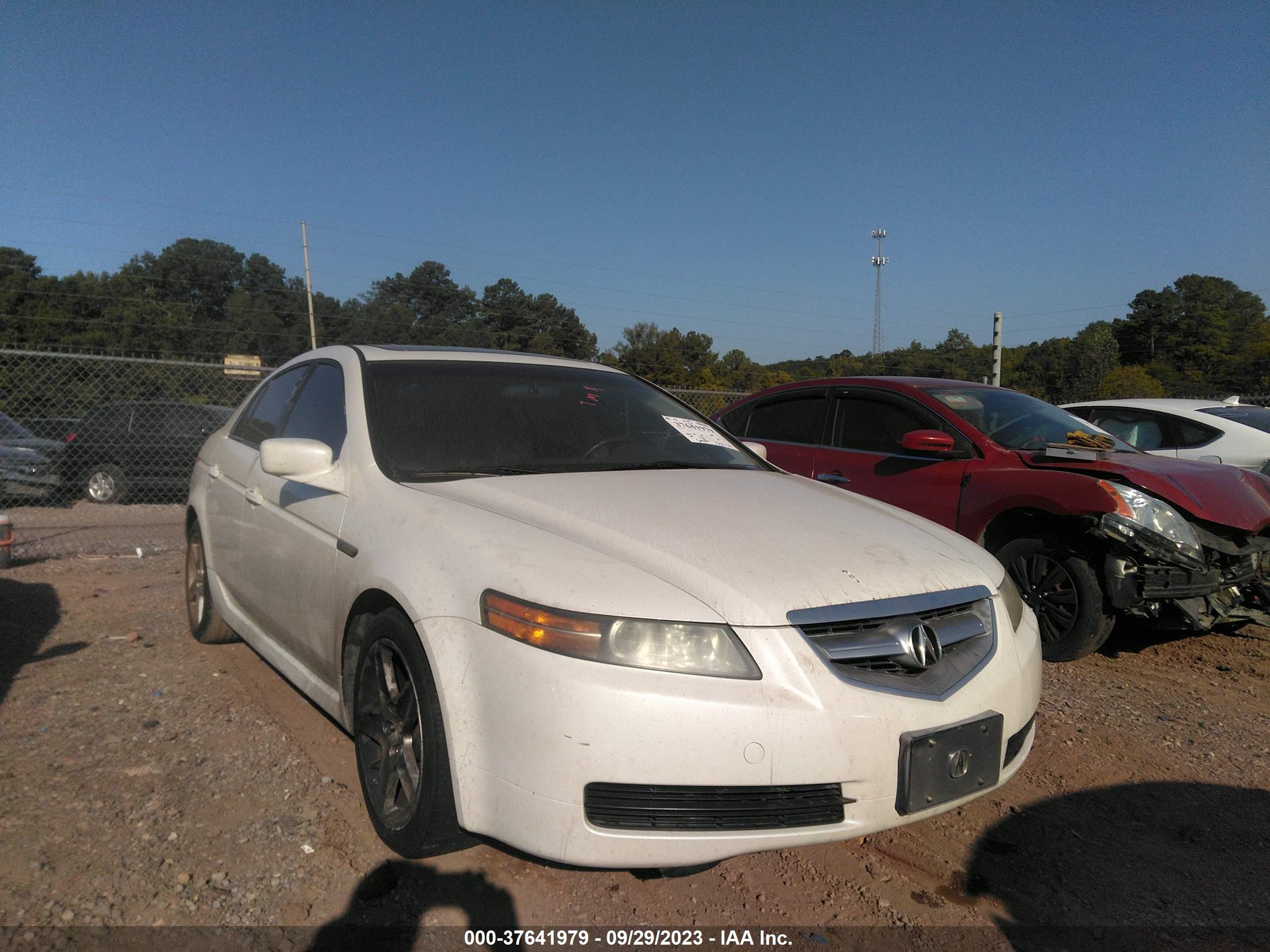 ACURA TL 2006 19uua66246a067182