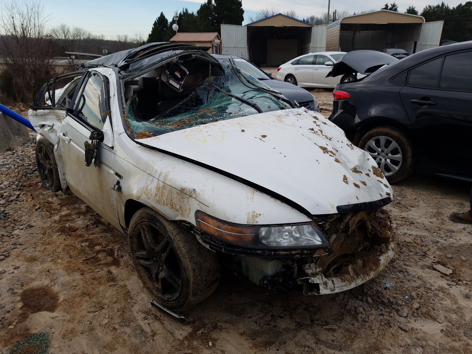 ACURA TL 2007 19uua66247a017528