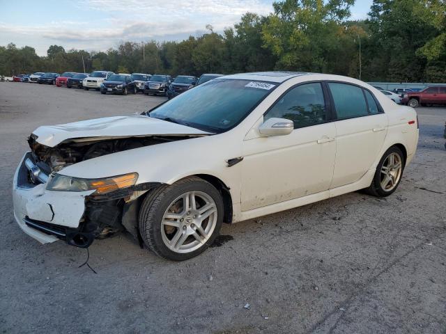 ACURA TL 2008 19uua66248a013836