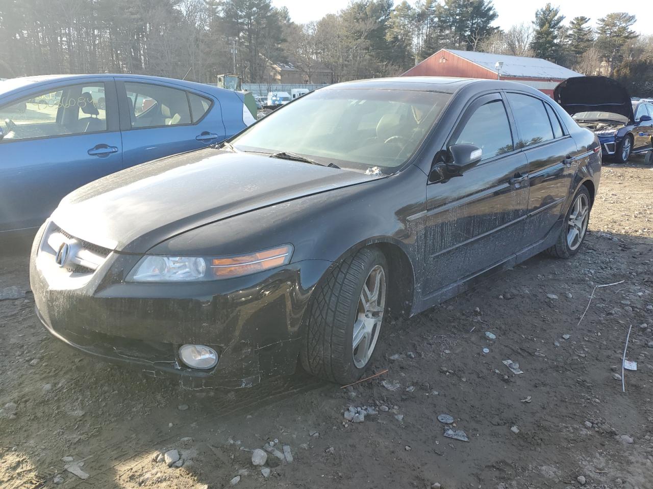 ACURA TL 2008 19uua66248a016977