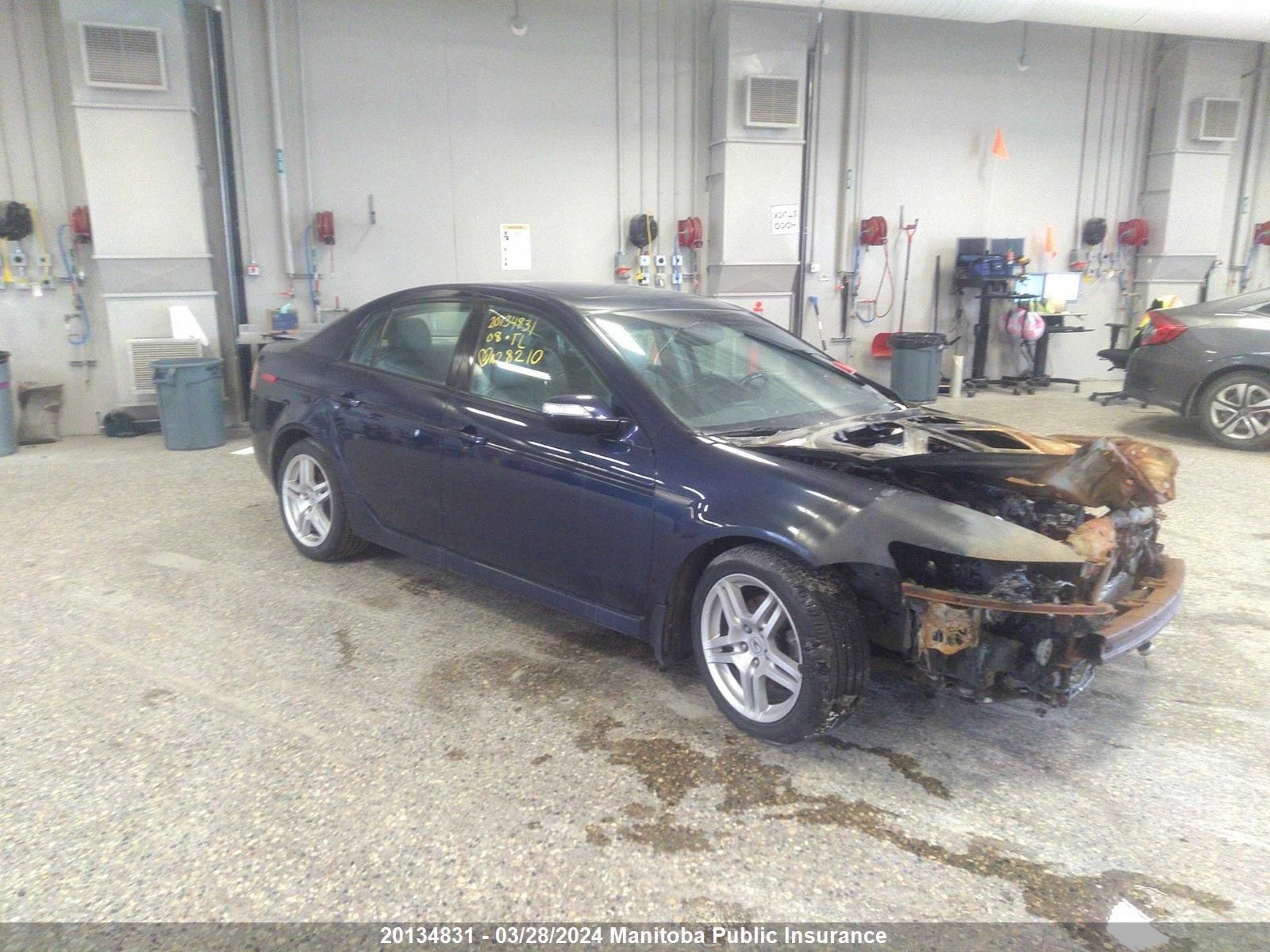 ACURA TL 2008 19uua66248a028210