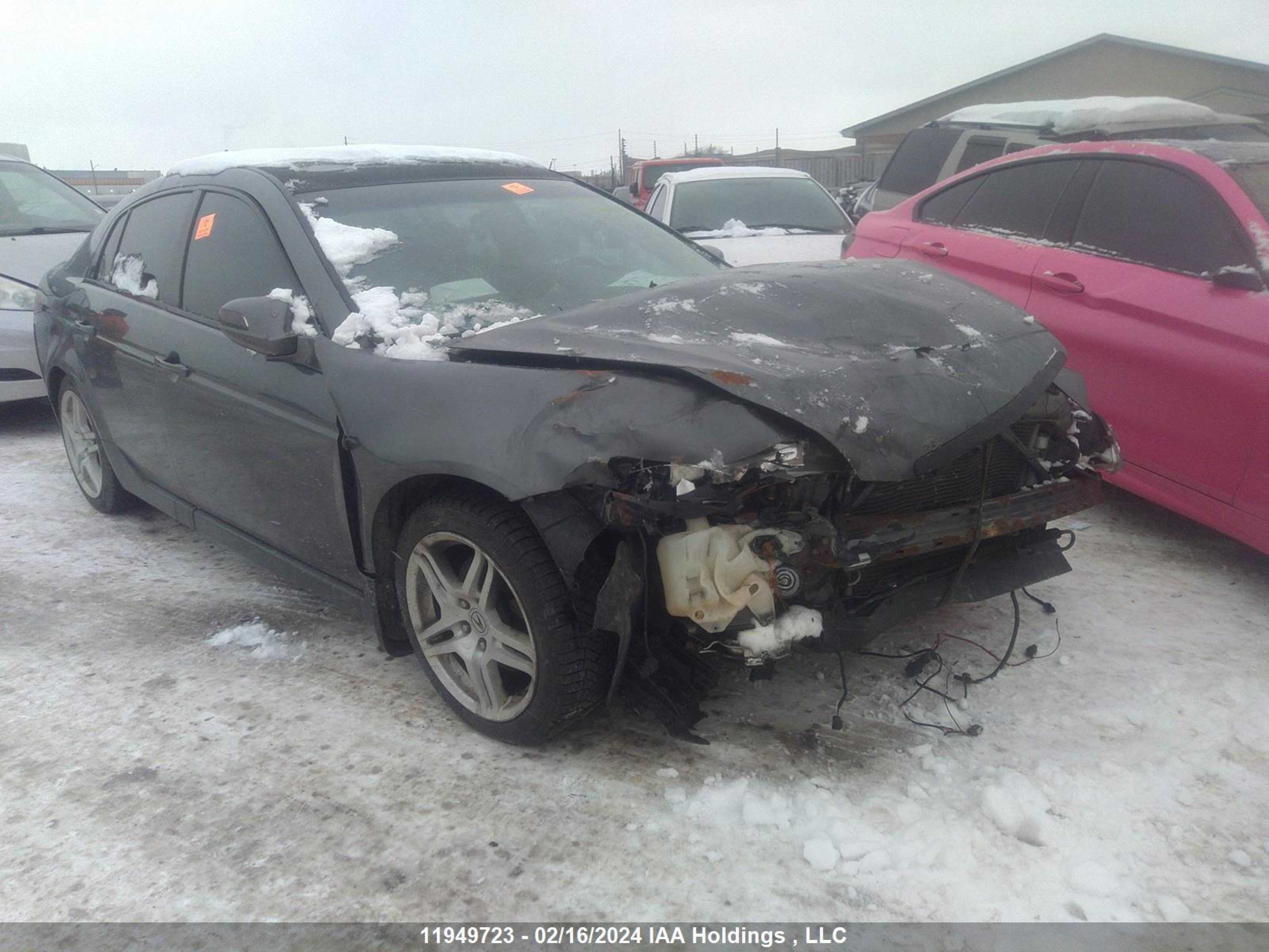 ACURA TL 2008 19uua66248a801869