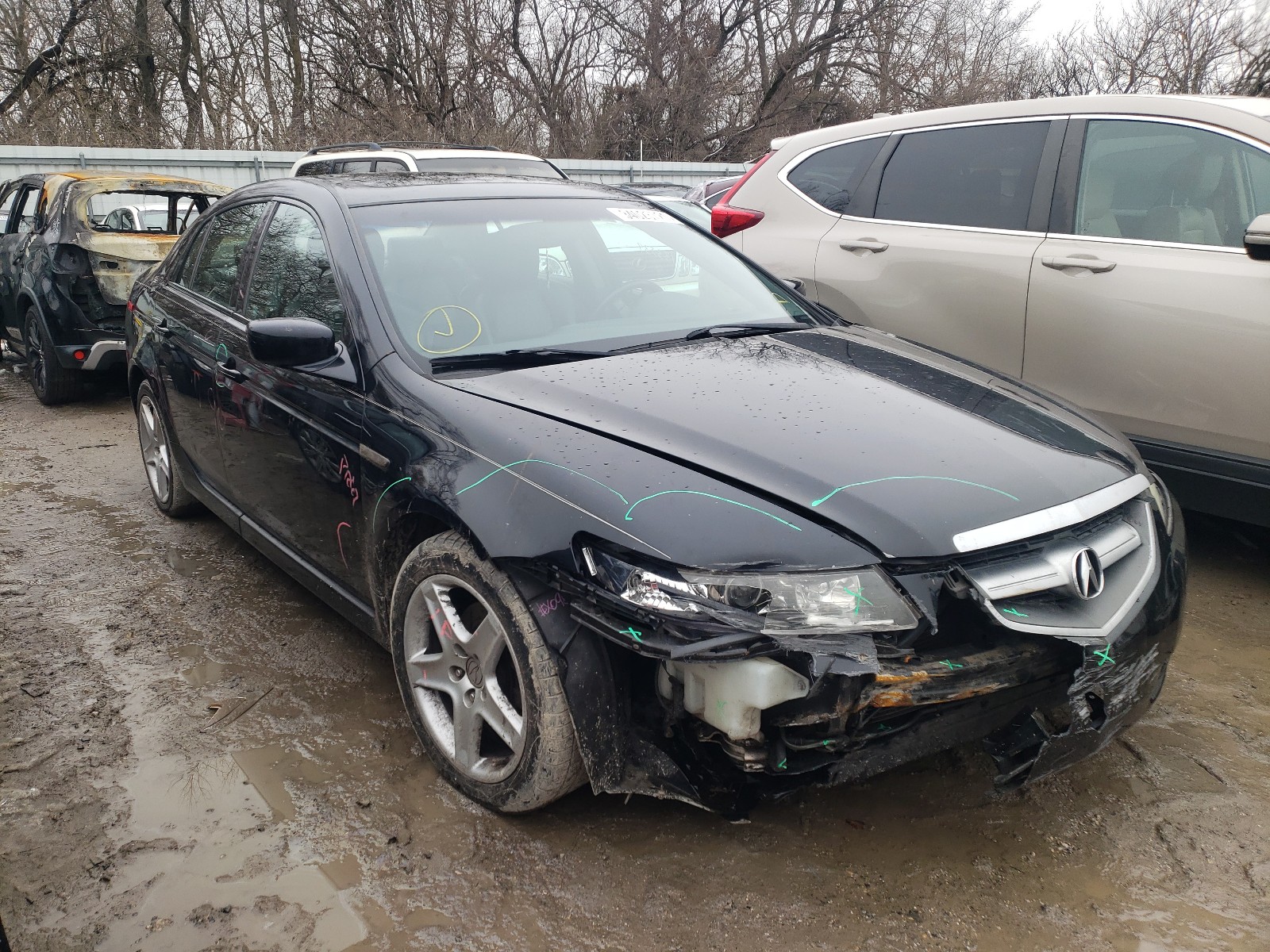 ACURA TL 2004 19uua66254a026718