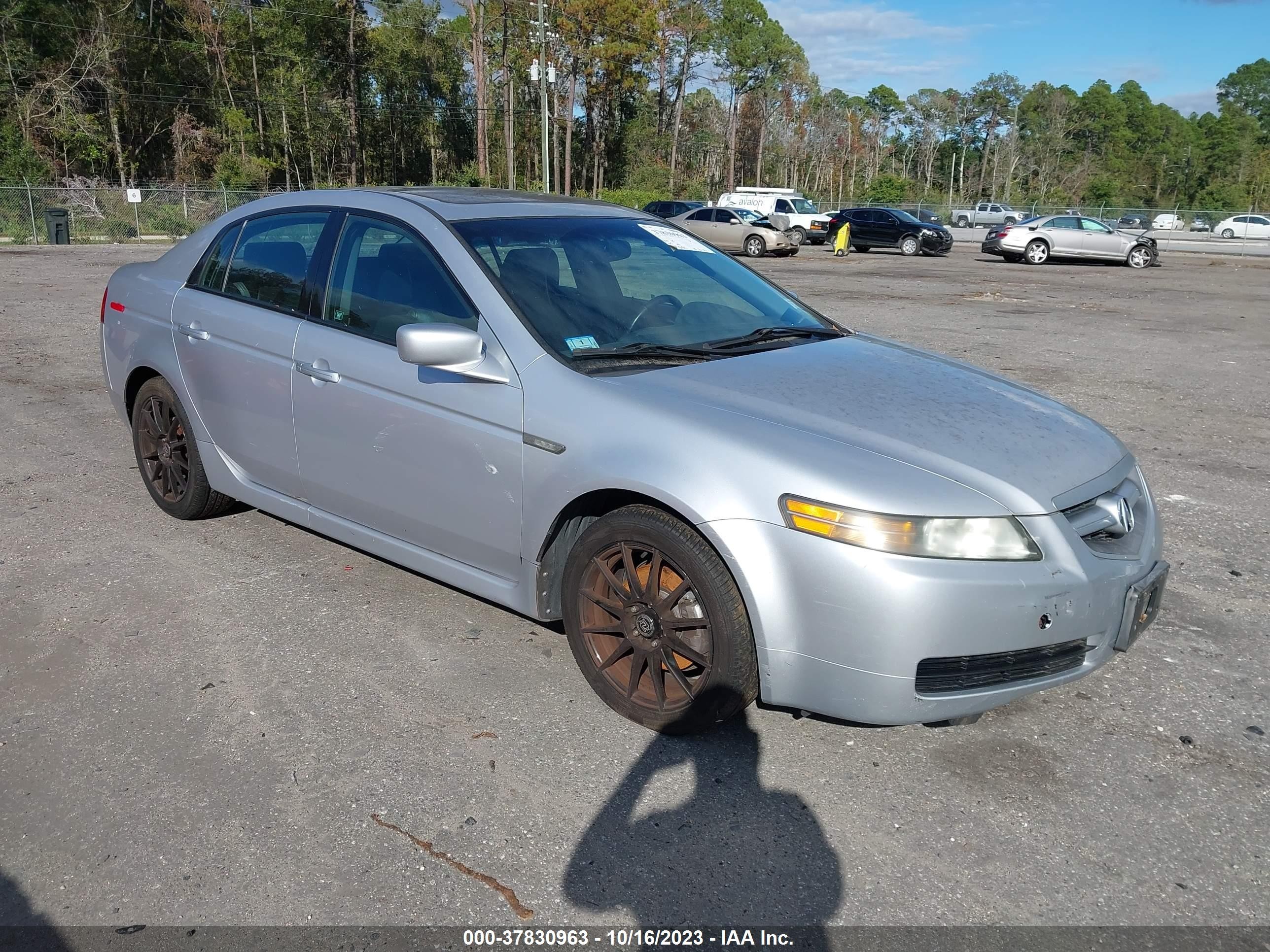 ACURA TL 2004 19uua66254a042370