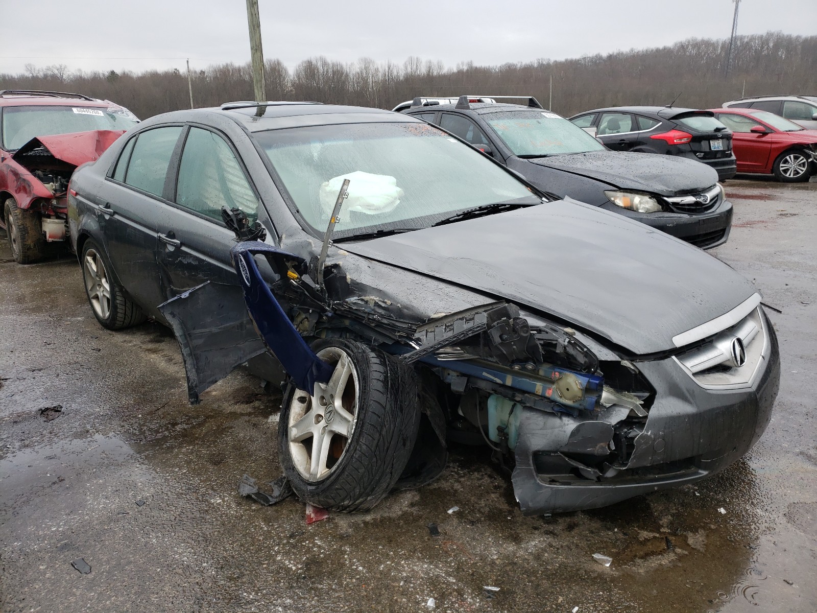 ACURA TL 2004 19uua66254a061775