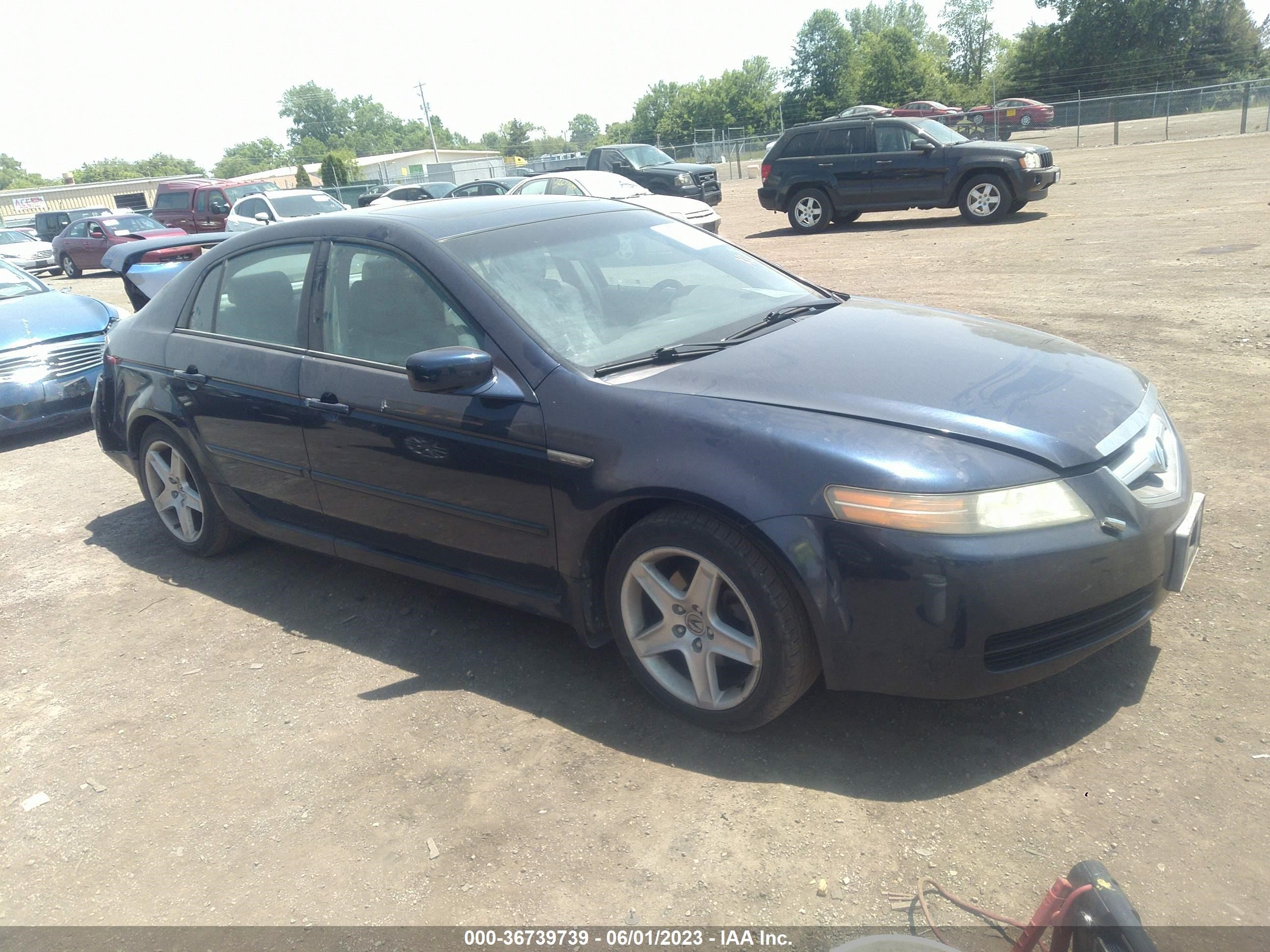 ACURA TL 2004 19uua66254a065695