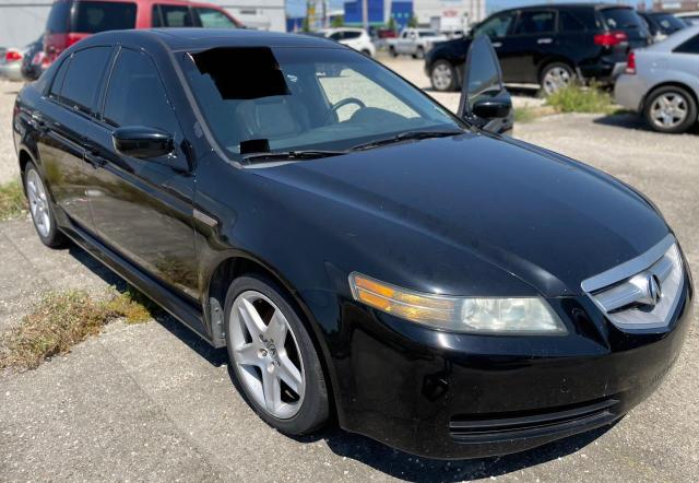 ACURA TL 2004 19uua66254a069245