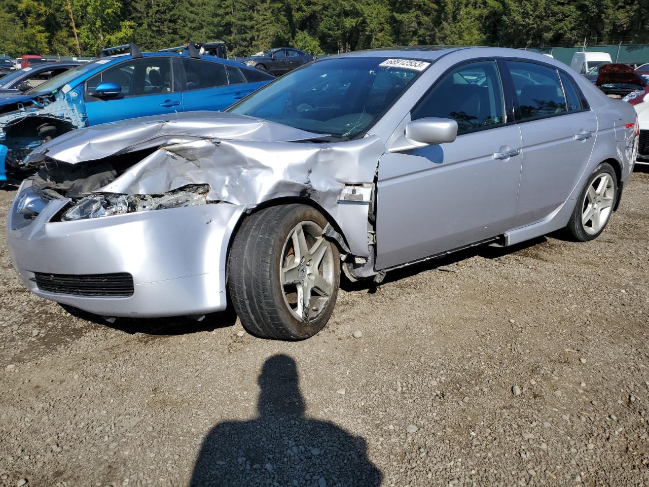 ACURA TL 2004 19uua66254a069696