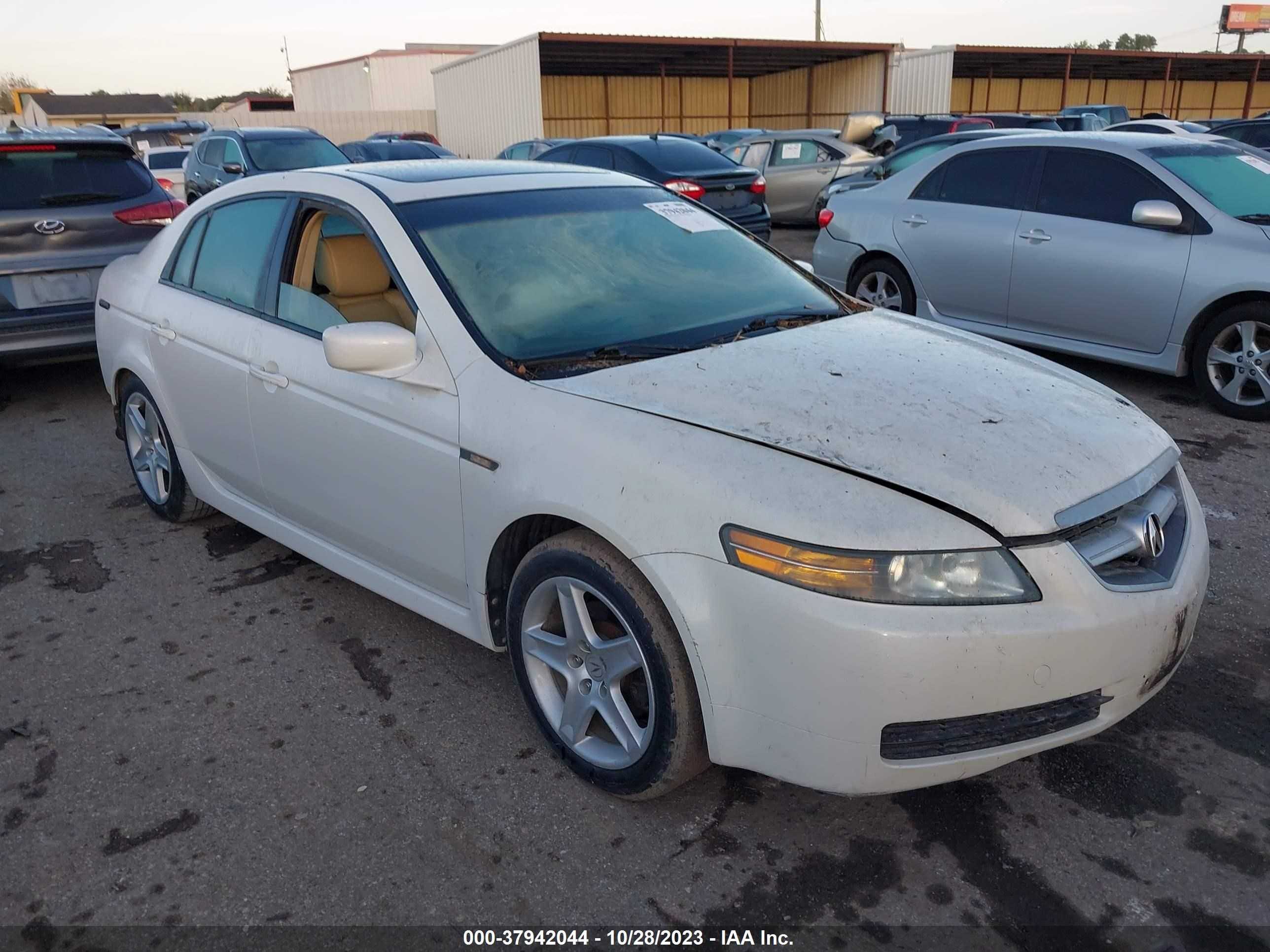 ACURA TL 2005 19uua66255a037851