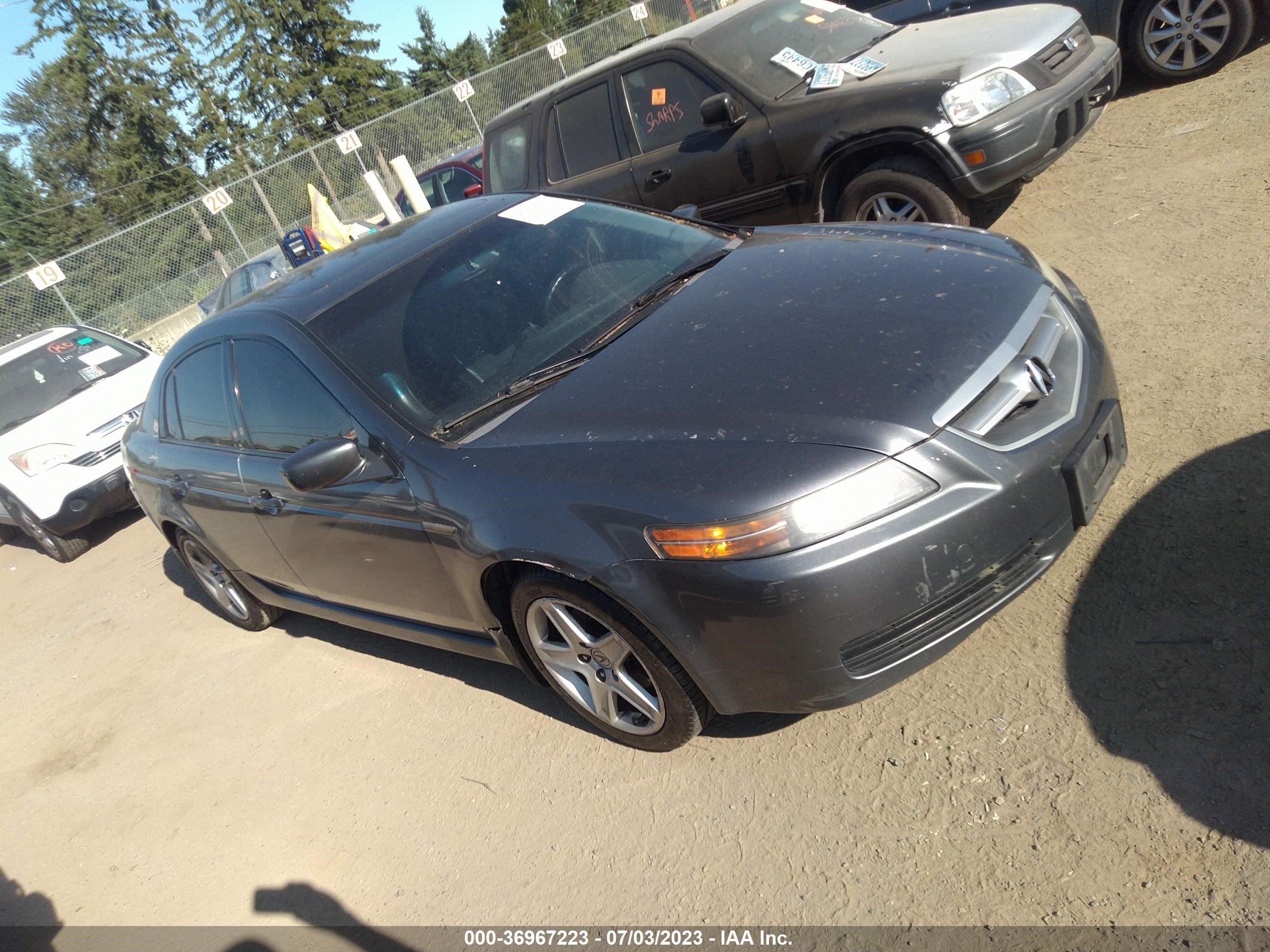 ACURA TL 2005 19uua66255a043066