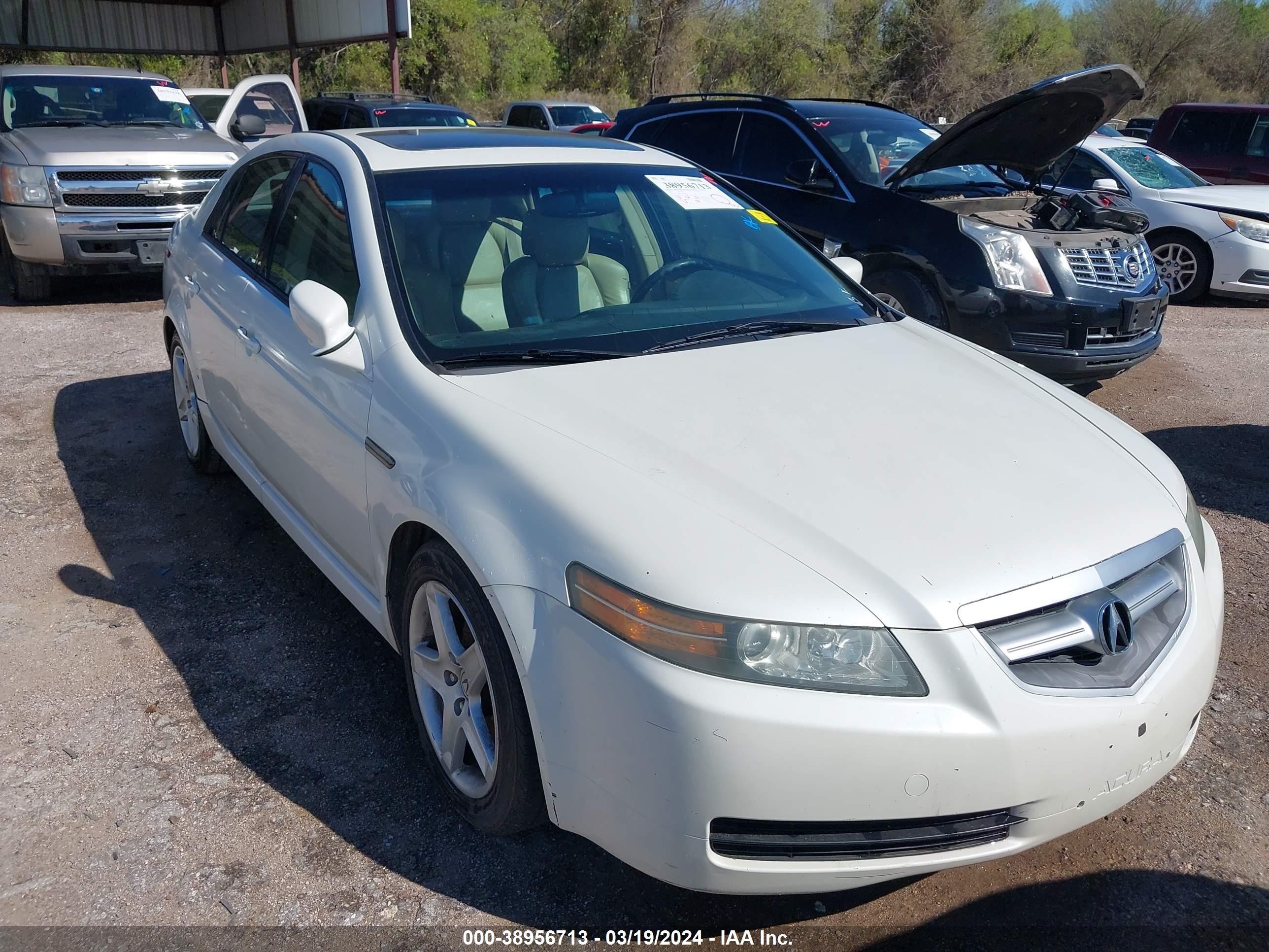 ACURA TL 2005 19uua66255a045447