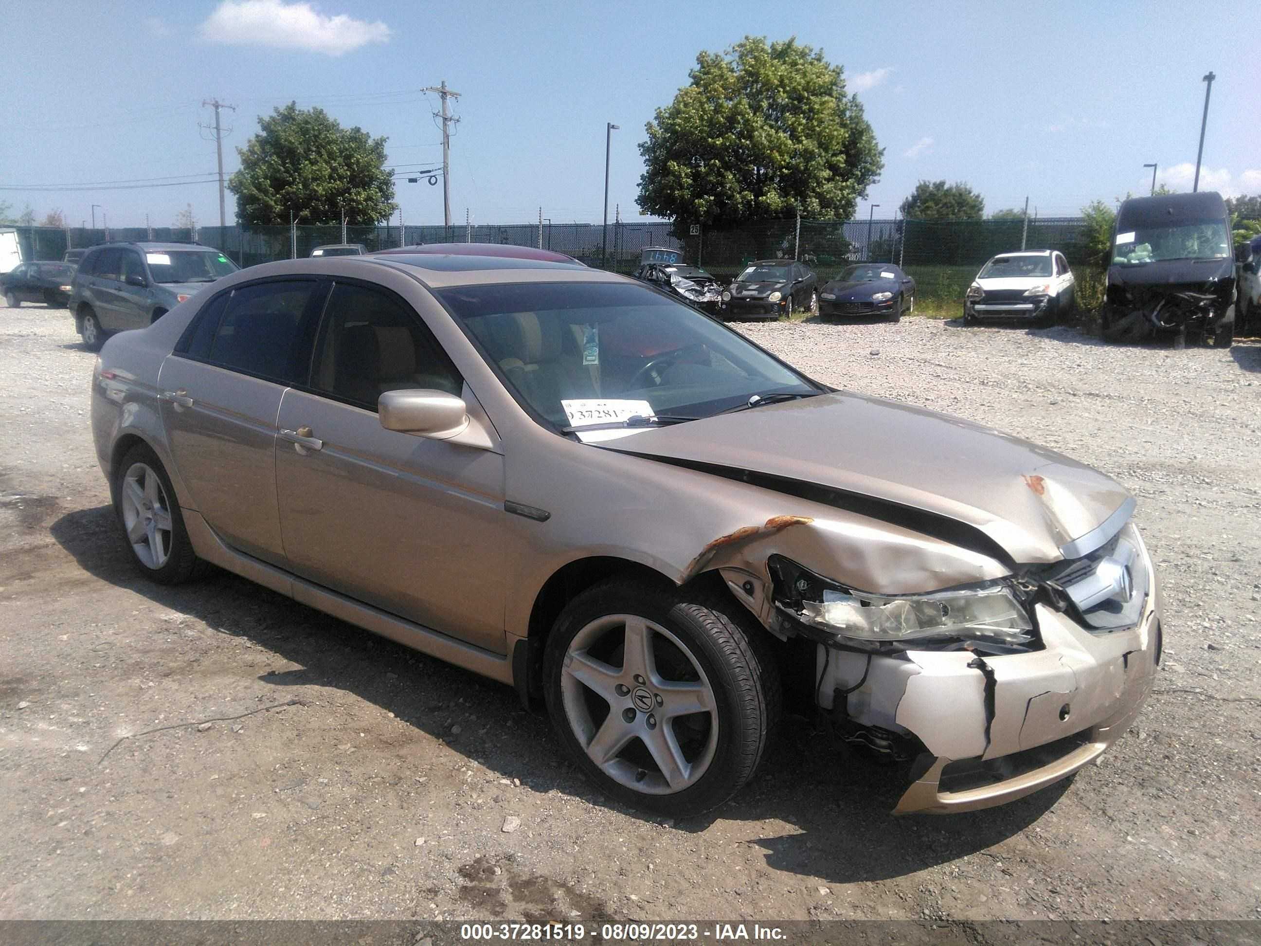 ACURA TL 2005 19uua66255a080571