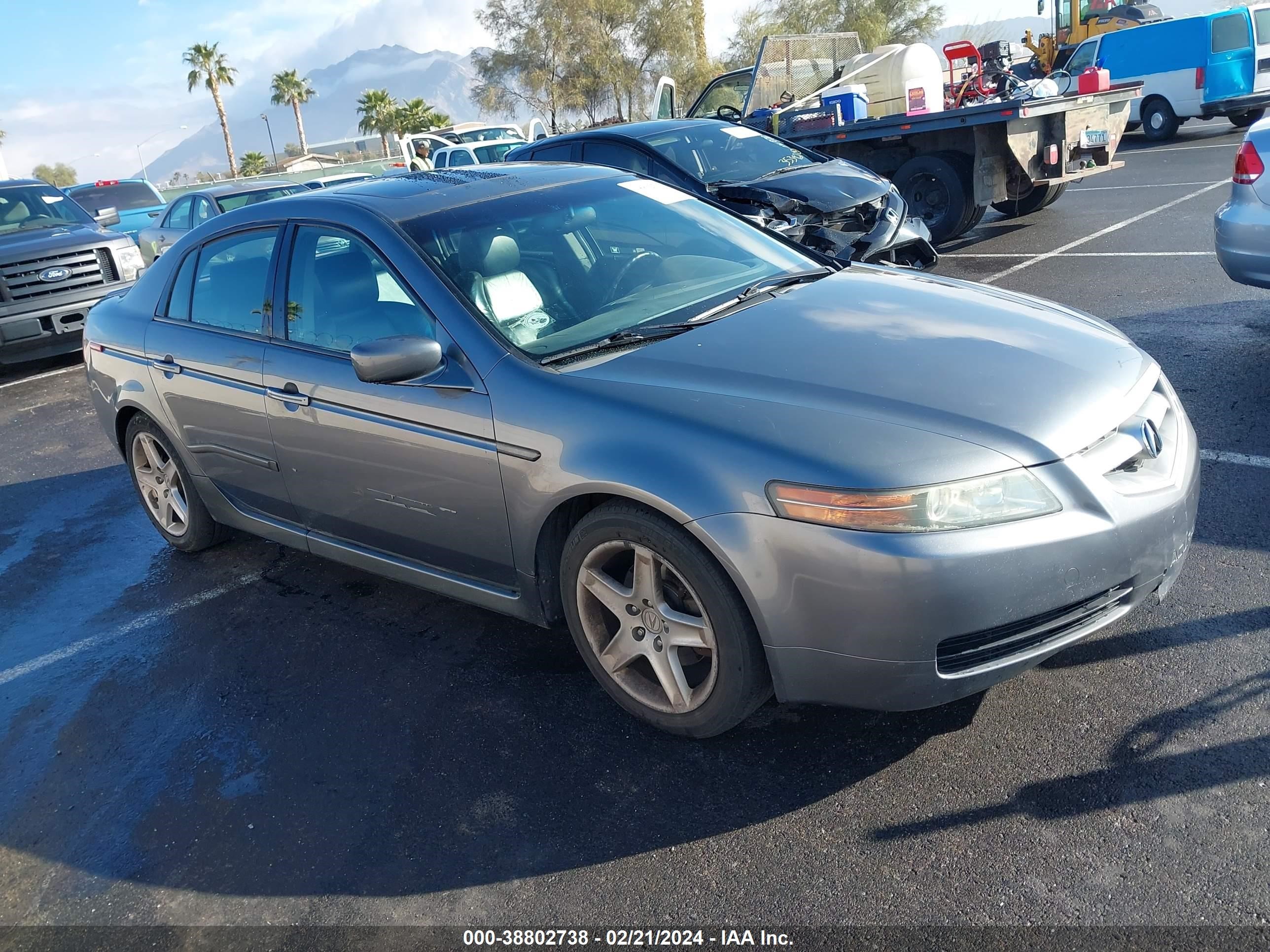 ACURA TL 2006 19uua66256a002809