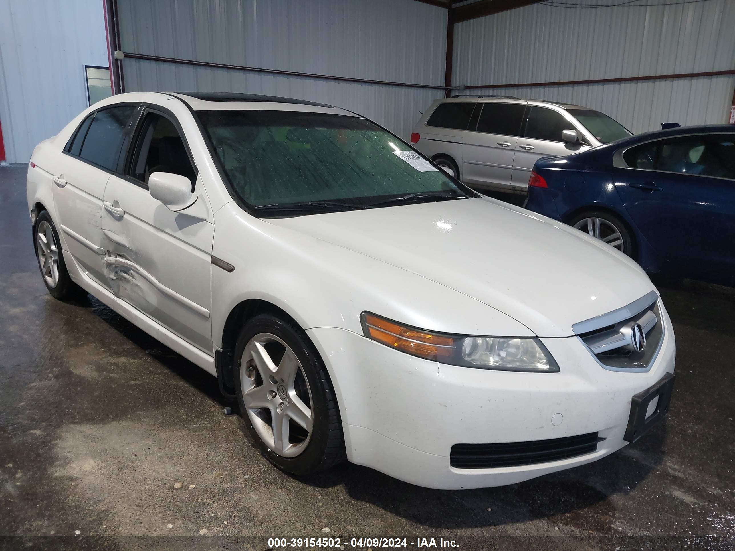 ACURA TL 2006 19uua66256a004771