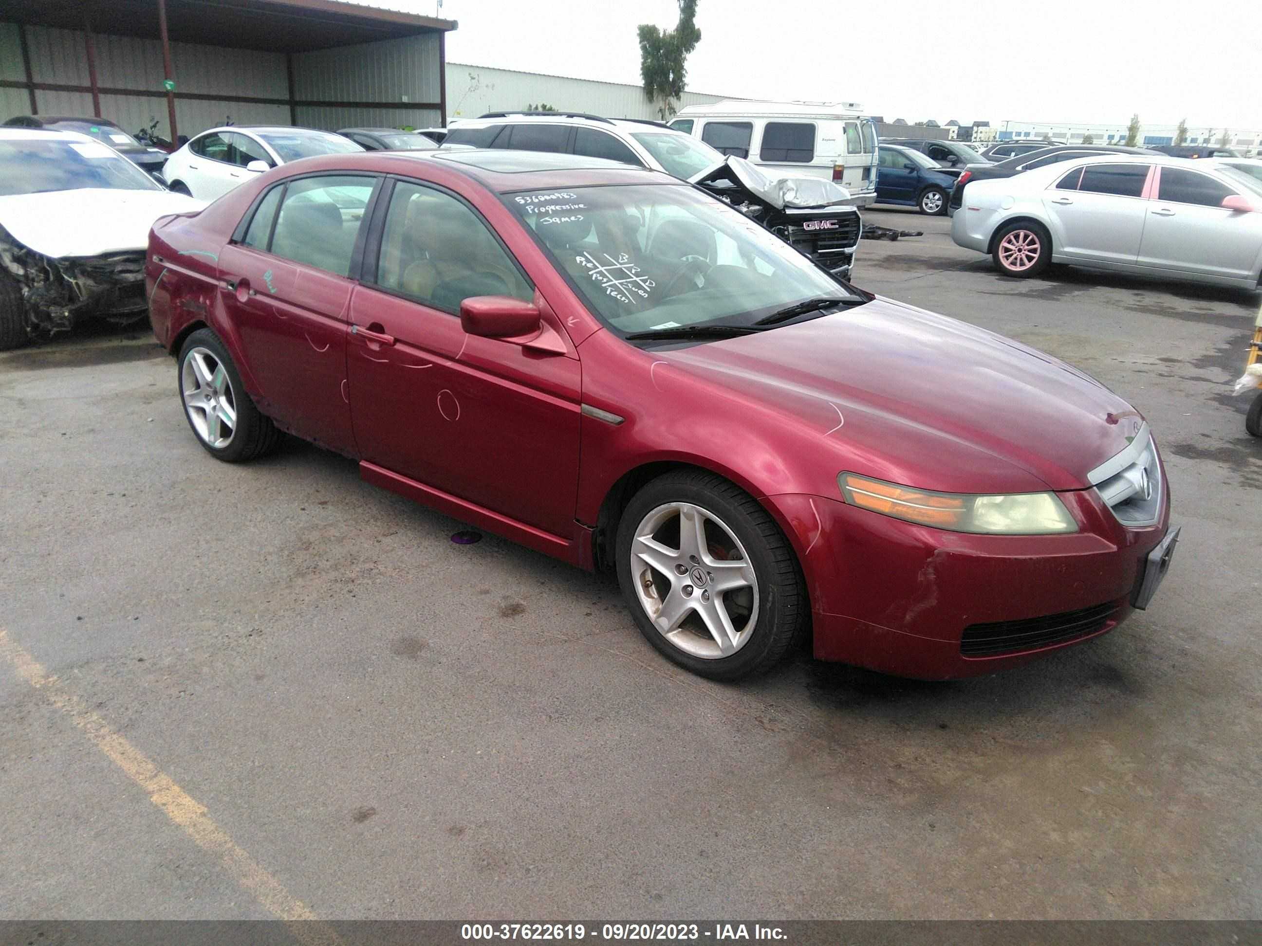 ACURA TL 2006 19uua66256a007976