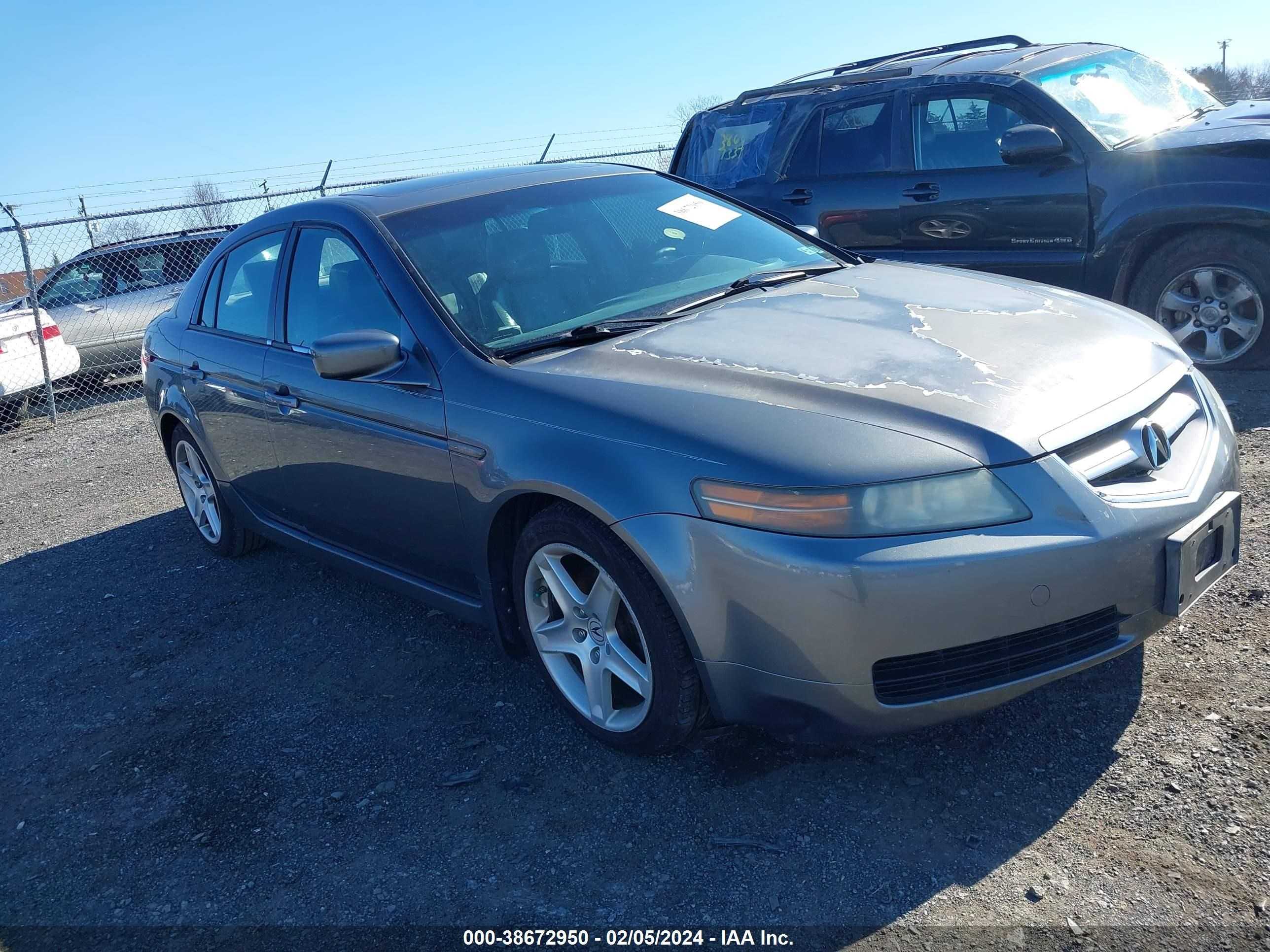 ACURA TL 2006 19uua66256a012904