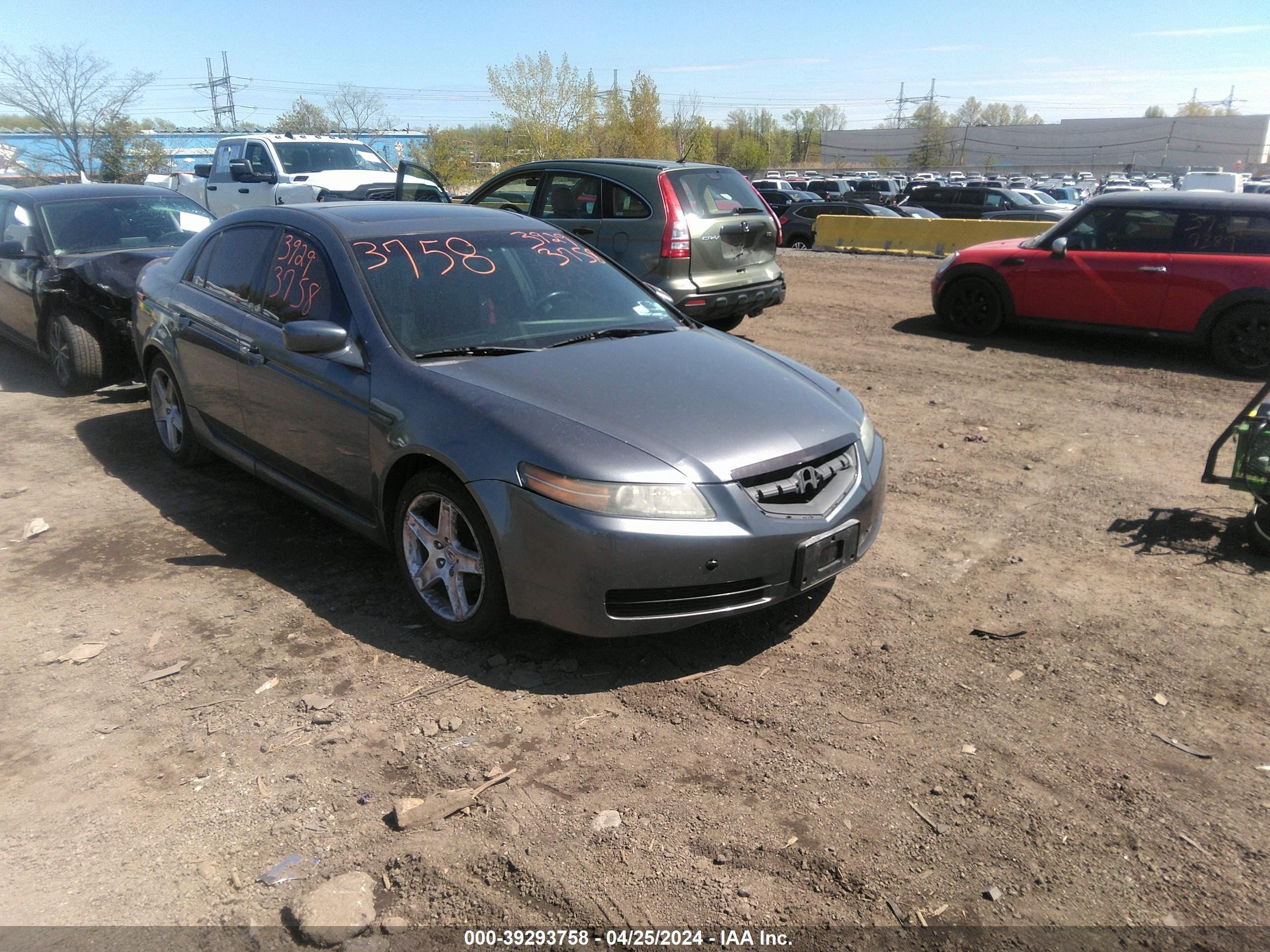 ACURA TL 2006 19uua66256a022185