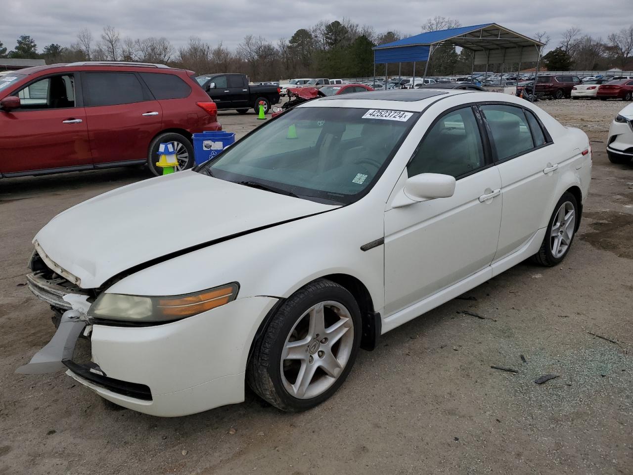 ACURA TL 2006 19uua66256a023000