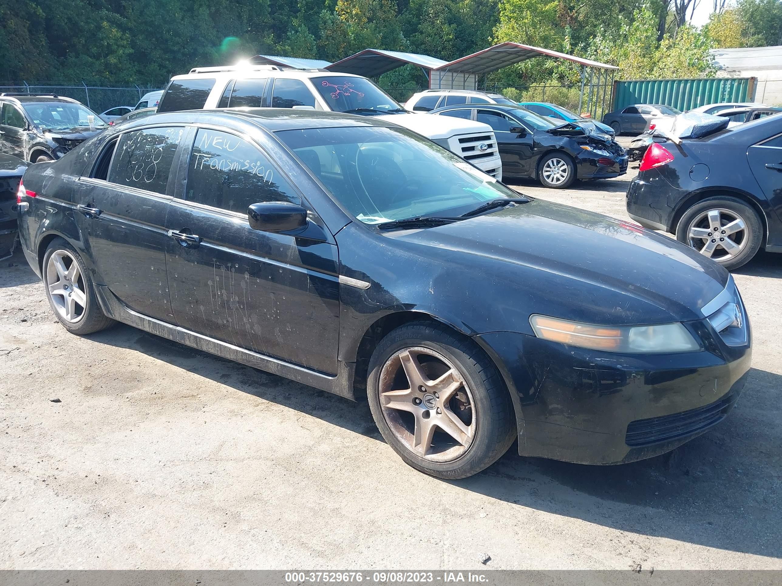 ACURA TL 2006 19uua66256a039049