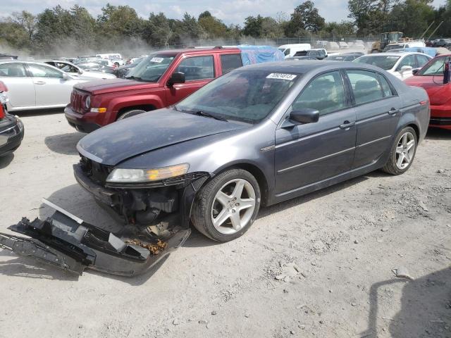 ACURA TL 2006 19uua66256a039763