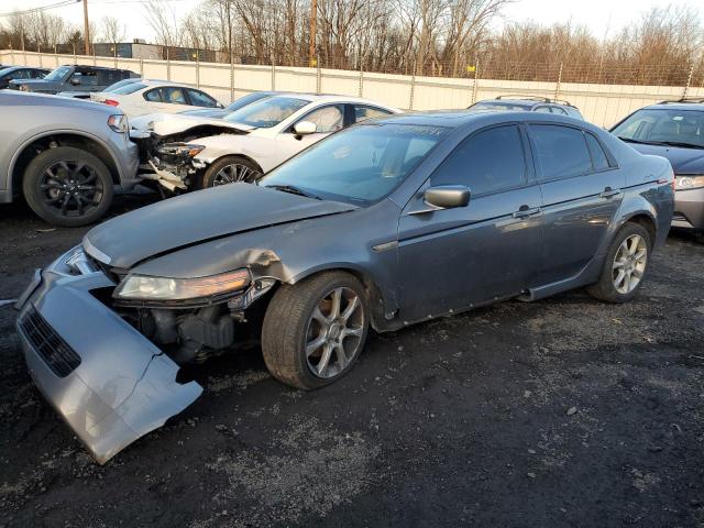 ACURA TL 2006 19uua66256a055509