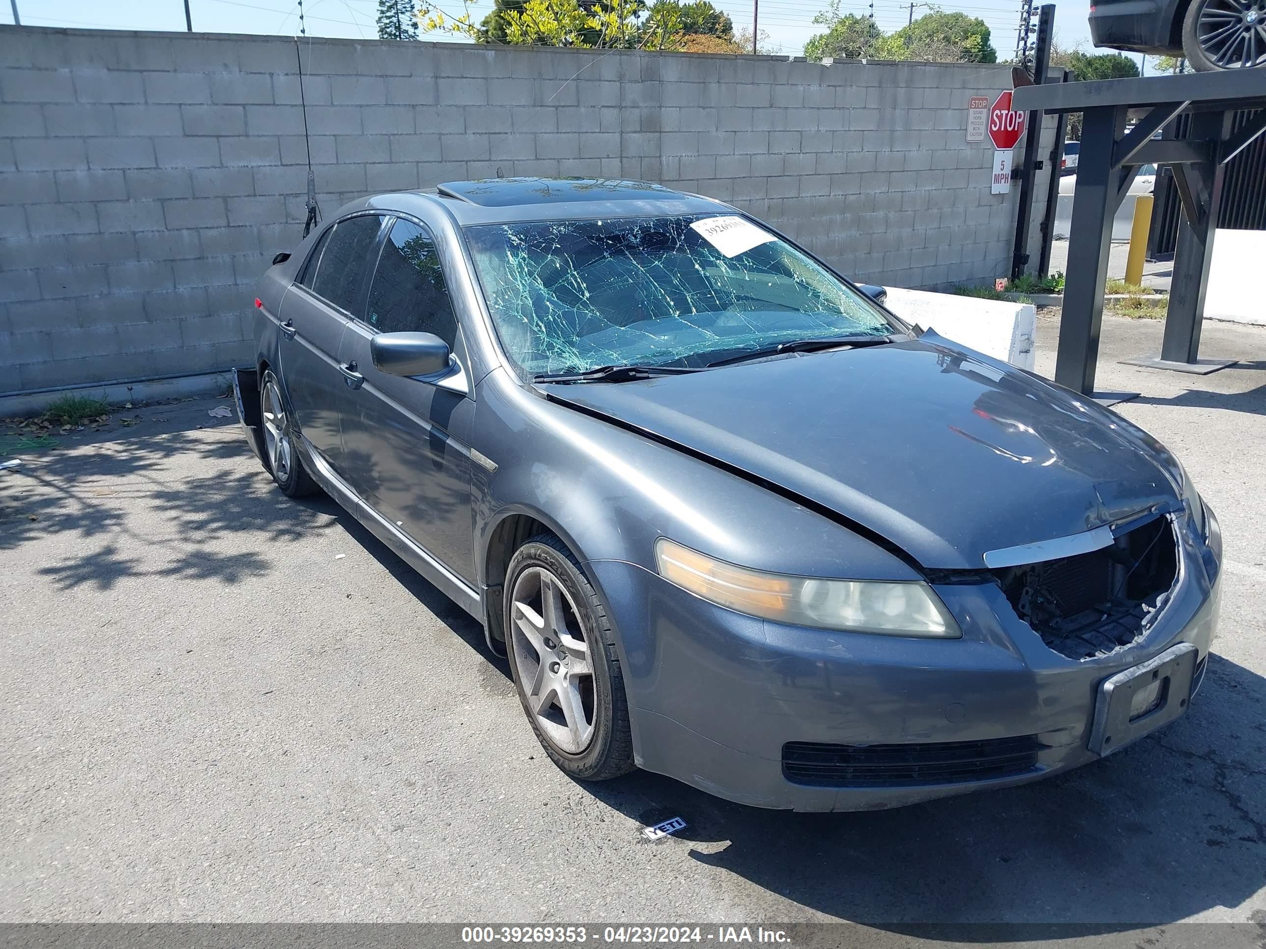 ACURA TL 2006 19uua66256a056126