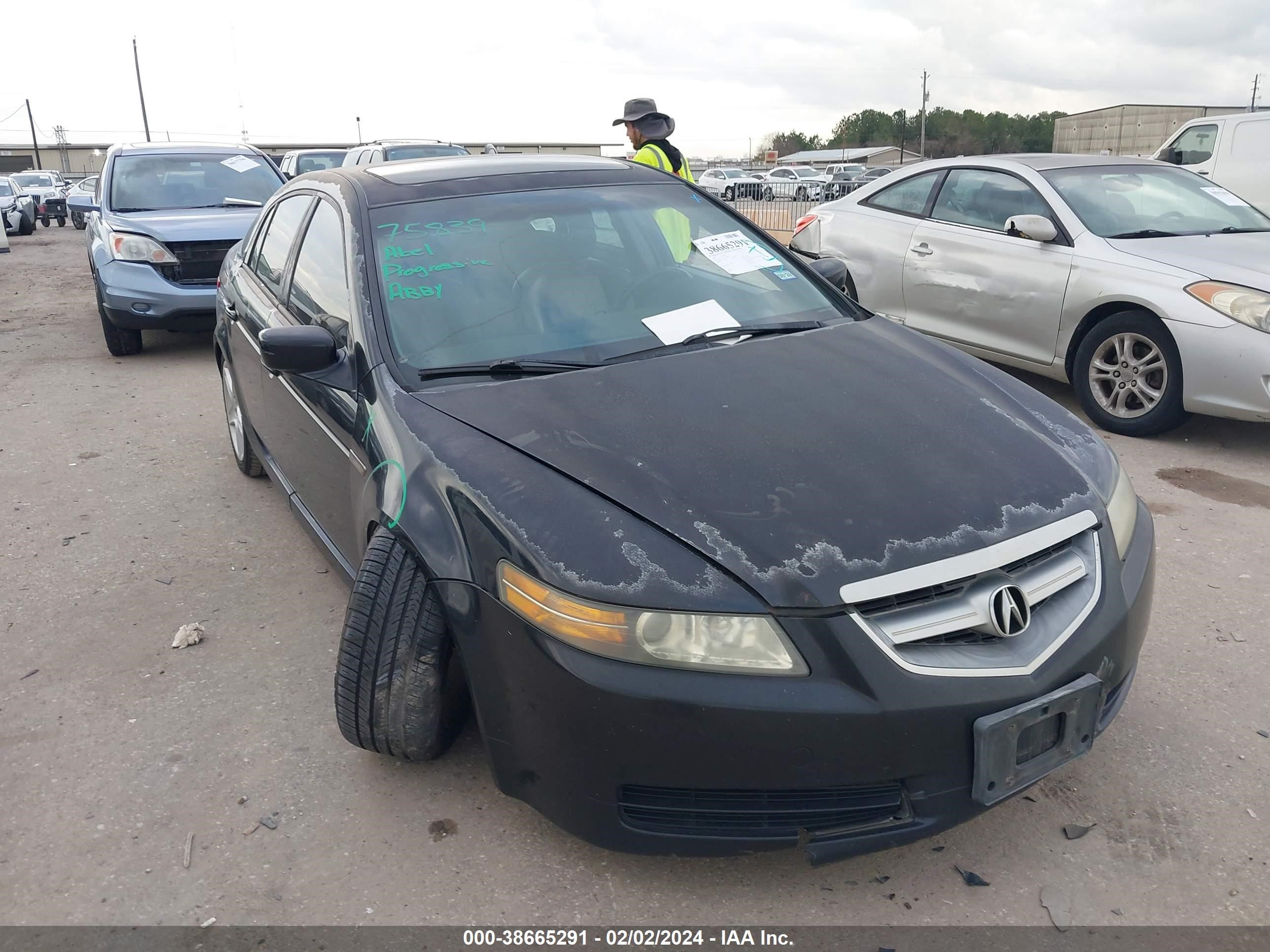 ACURA TL 2006 19uua66256a064887