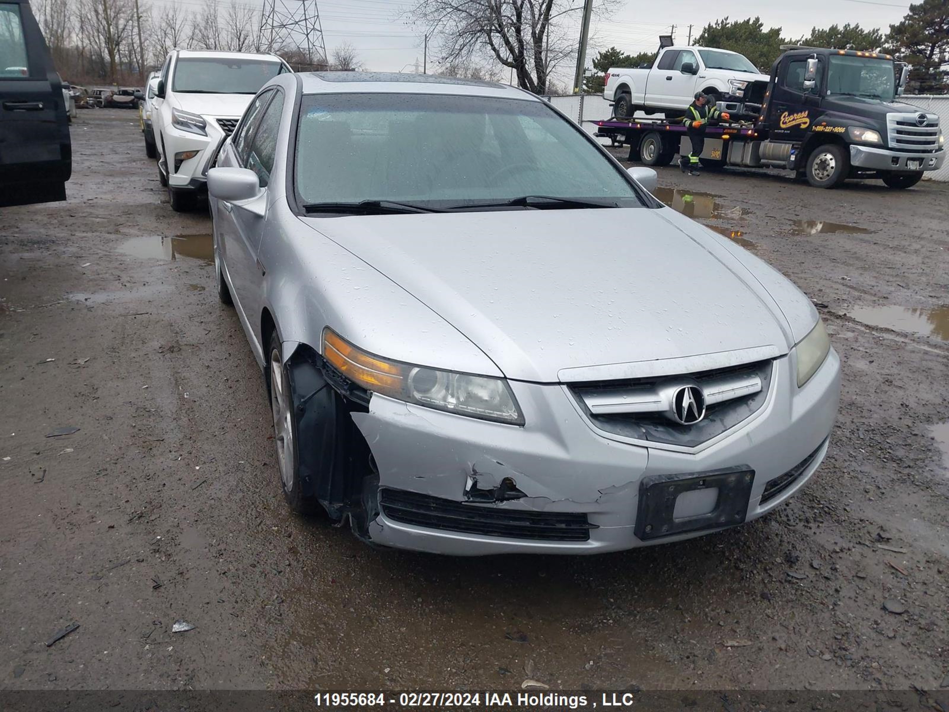 ACURA TL 2006 19uua66256a804504